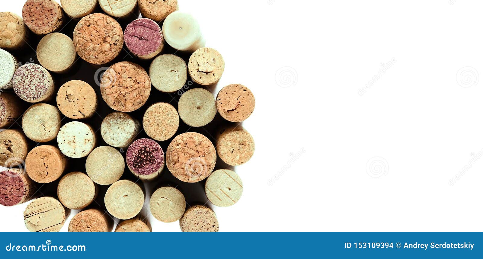 Wine corks background isolated on white with the place for text. Wine corks isolated on white background with the text area