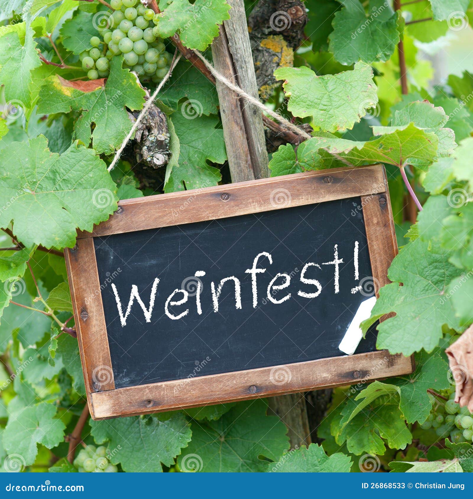 Wine festival stock image. Image of sparkling, invitation 26868533