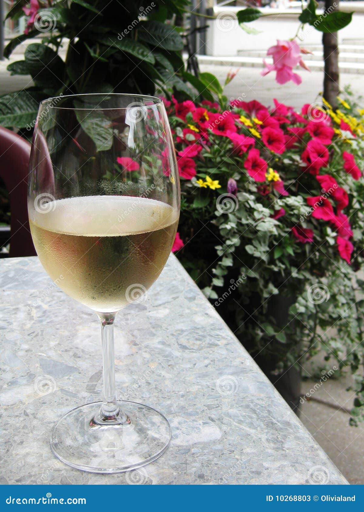 Wine and Flowers stock image. Image of brunch, cheers 10268803