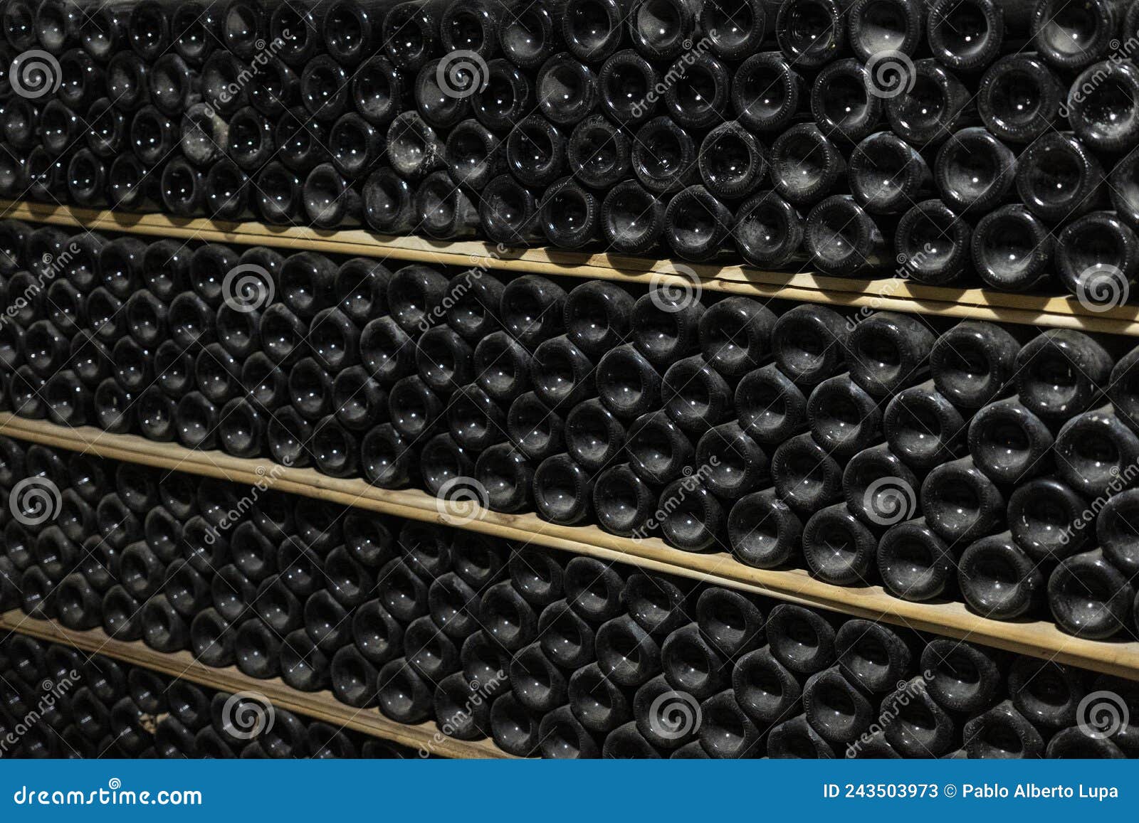 Wine Glass Bottles Fermenting in Winery Cellar Stock Image Image of vintage, background 243503973