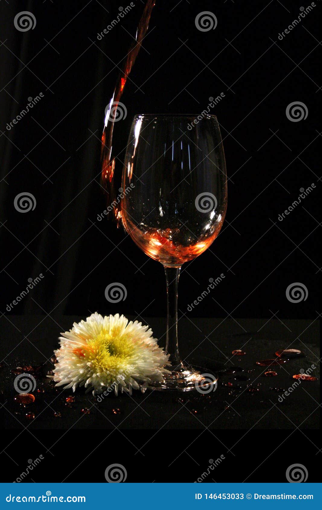 Wine glass with flower stock image. Image of elegance 146453033