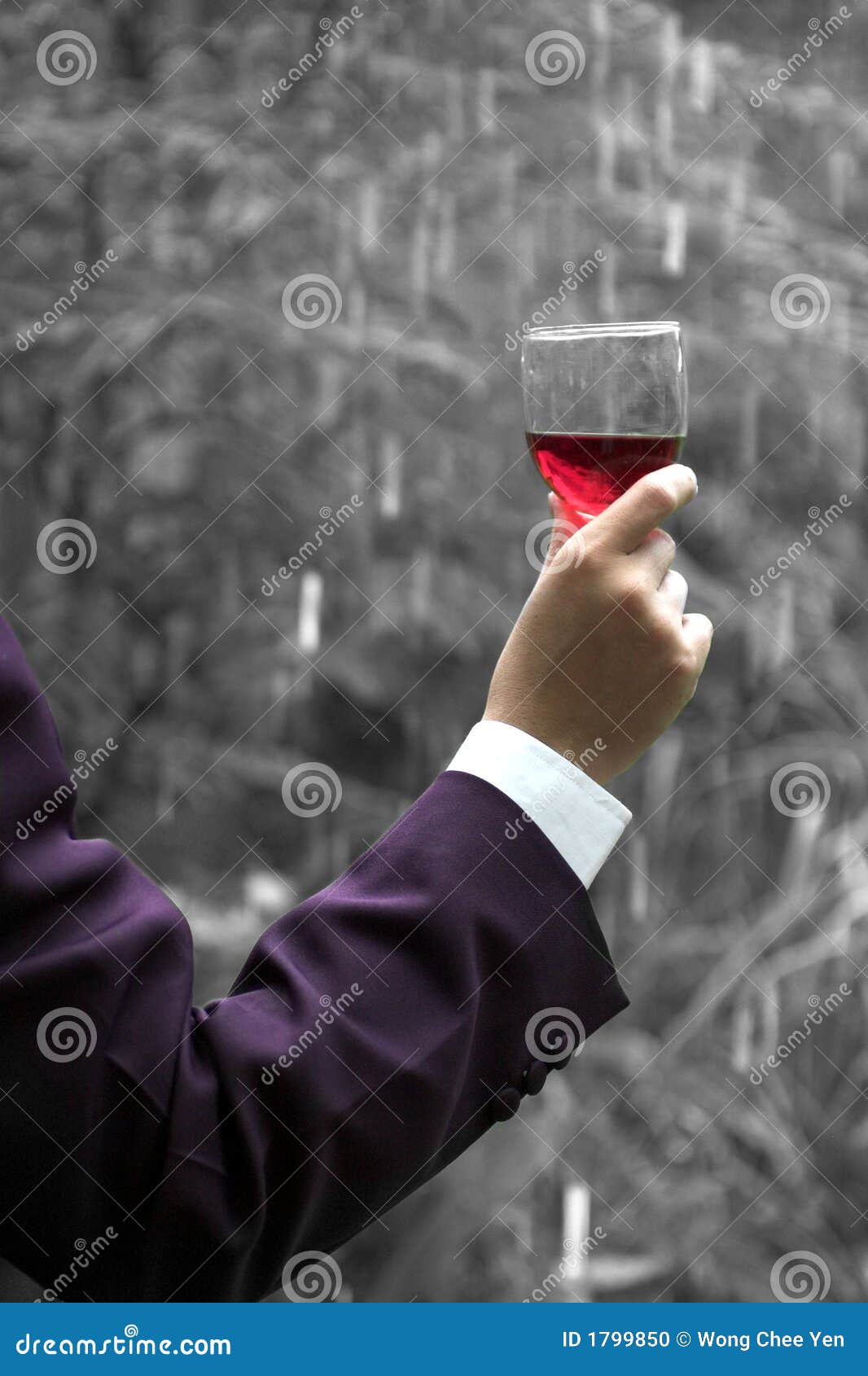 Wine glass in salute stock photo. Image of coat, salute 1799850