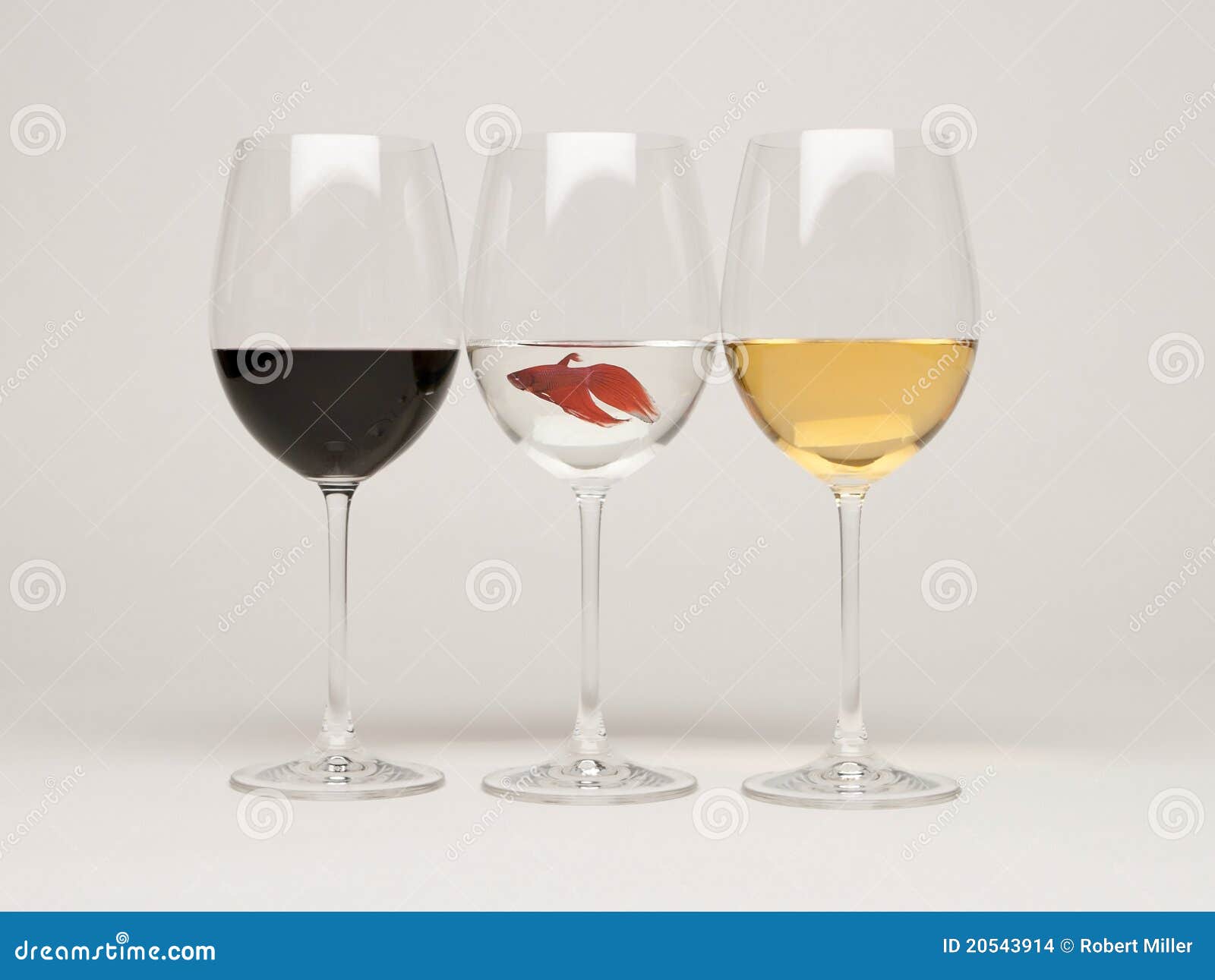 Wine glasses with a fish stock photo. Image of male, celebration 20543914