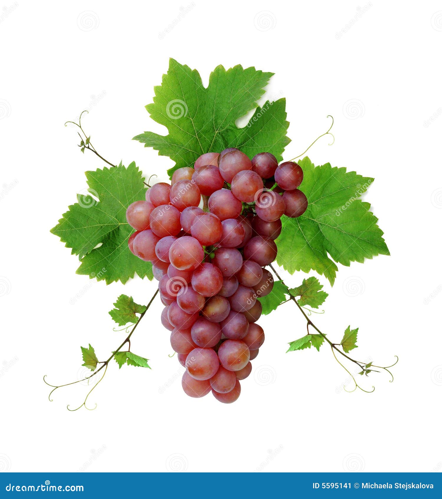 wine grape cluster