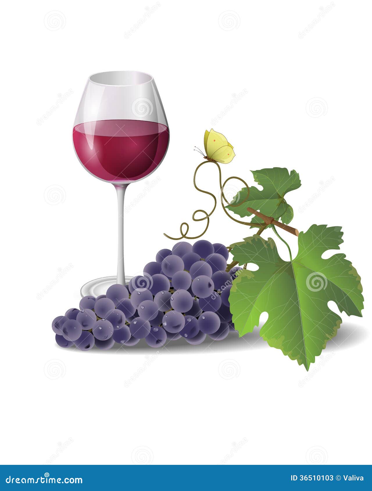 Wine and grapes stock vector. Illustration of fresh, gastronome - 36510103