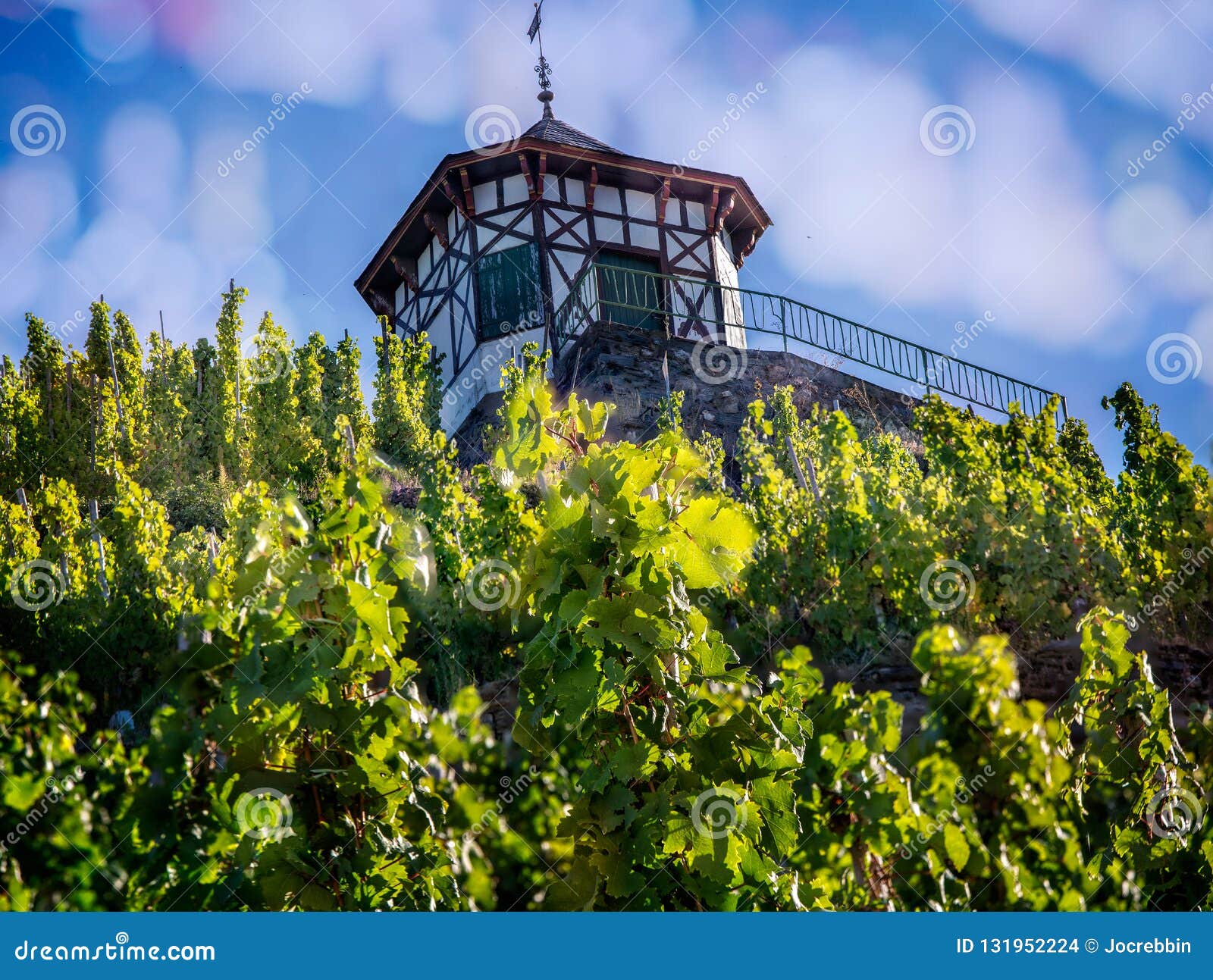 wine growers field house next to field of grape vines in bernkastel,