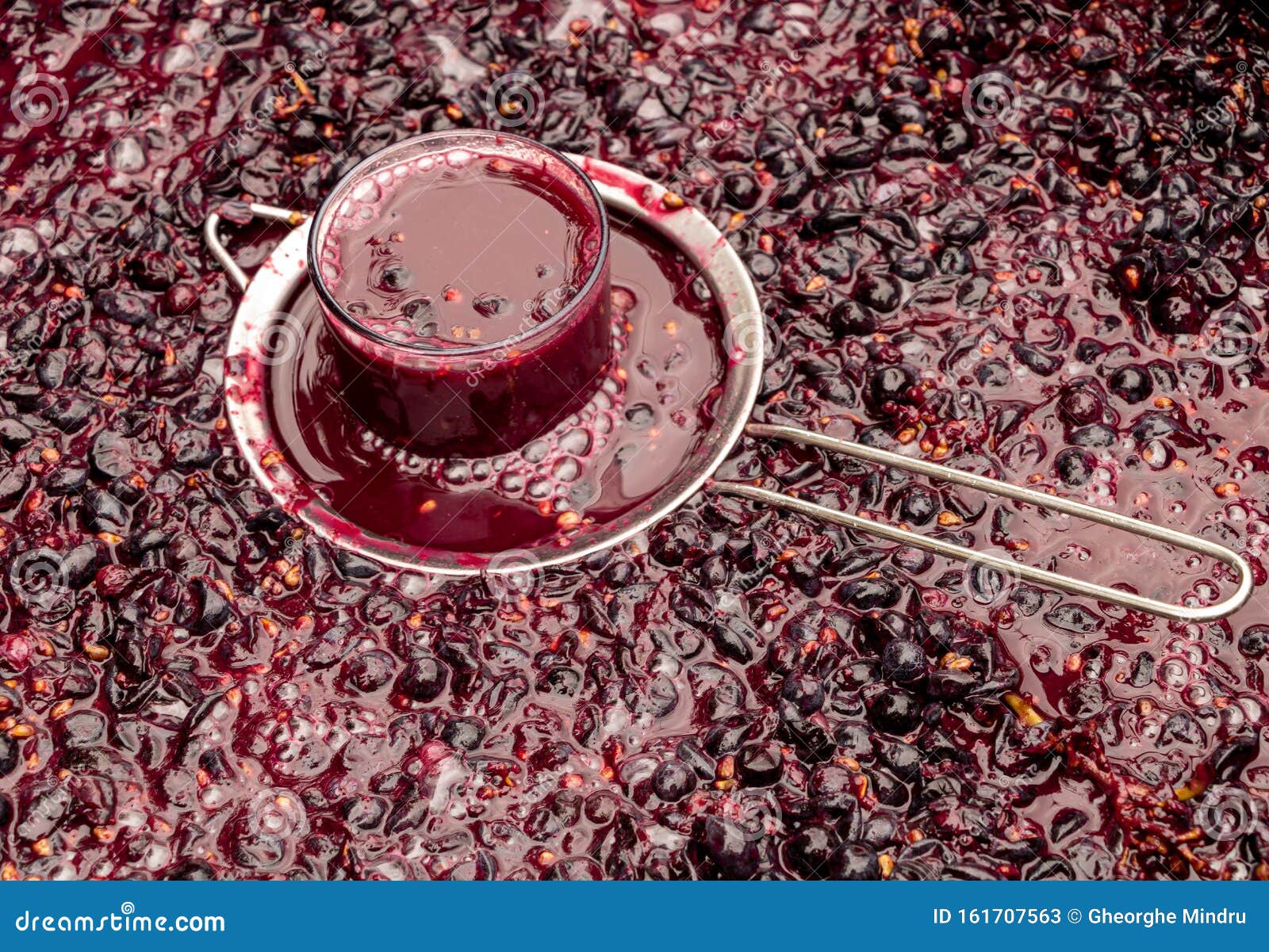 Wine Juice in the Glass. Wine Fermentation in Process Stock Image