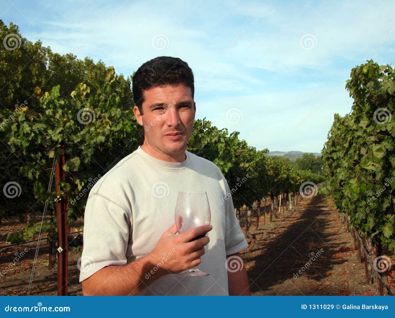 Wine maker stock image. Image of country, cultivated, hanging 1311029