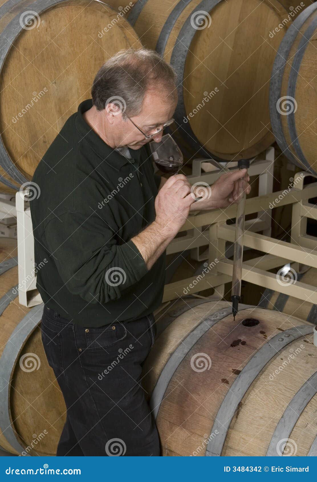 Wine Maker stock photo. Image of quality, inspector, caucasian 3484342