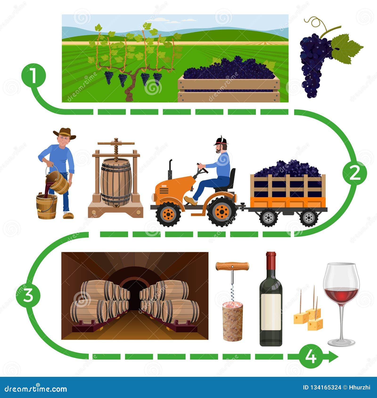 Wine Making Process Stock Vector Illustration Of Farming 134165324