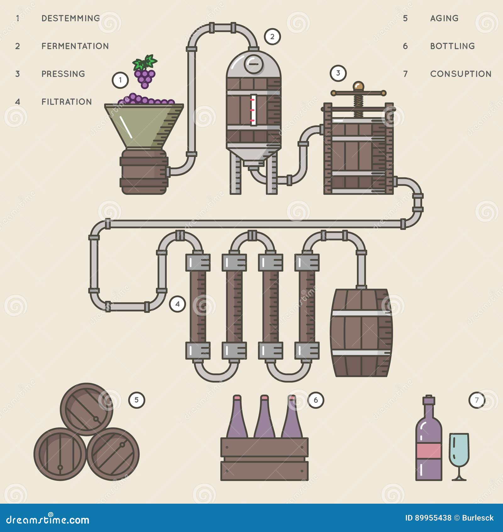 wine making process or winemaking infographic  .