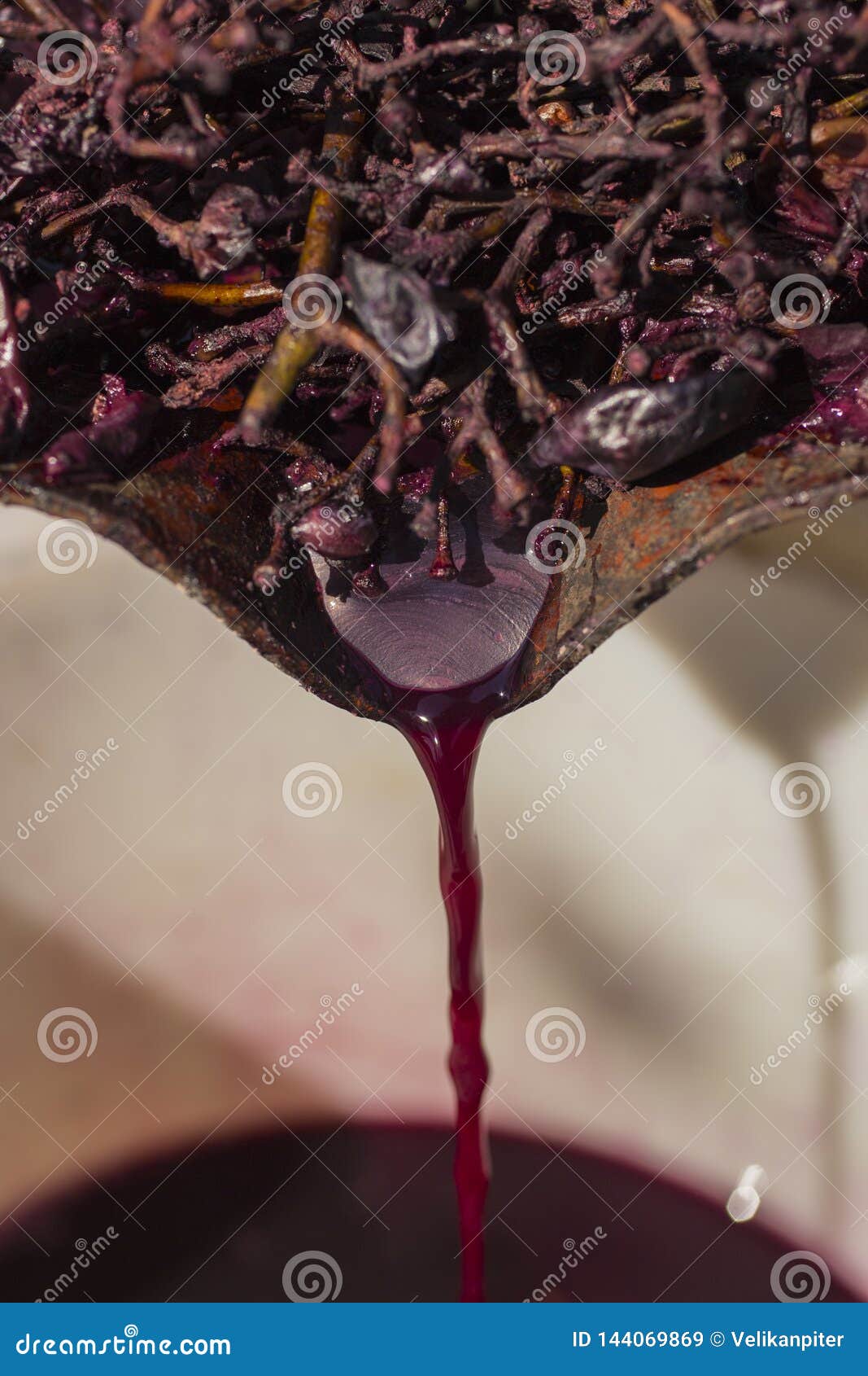 Winemaking. Technology of Wine Production. Stock Image Image of