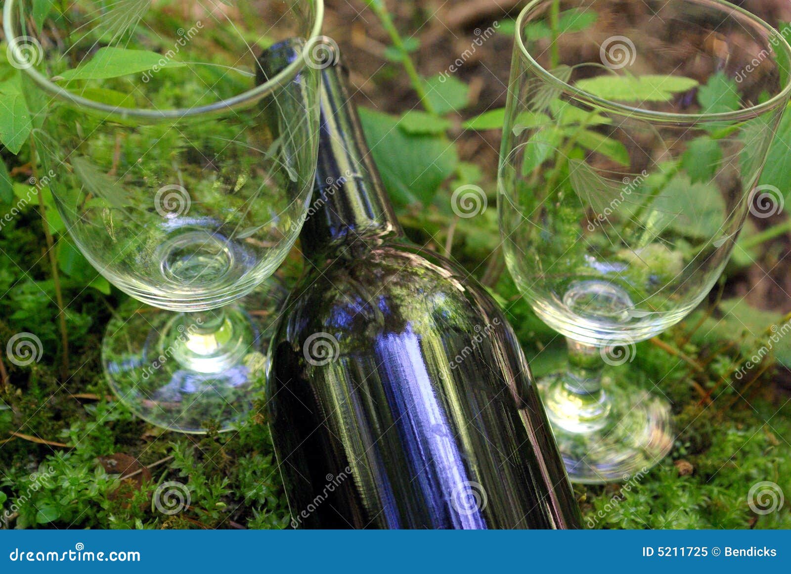 Wine and Nature stock image. Image of glass, wine, picnic 5211725