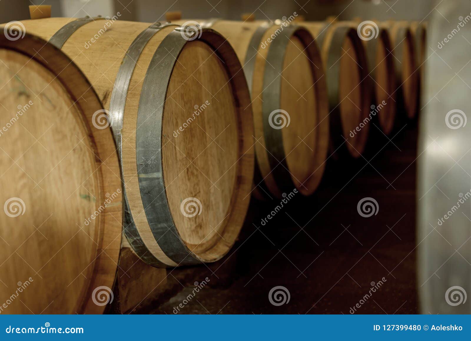 Wine Oak Barrels in Which Red Wine is Aged in the Cellar of the Stock