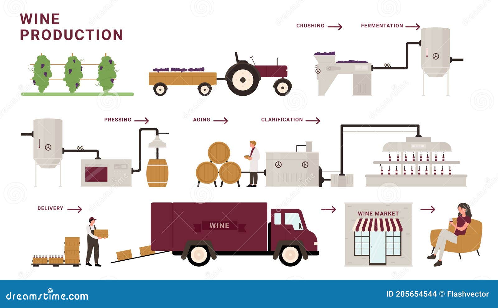 Wine Production Process Stages, Infographic Cartoon Modern Winery ...