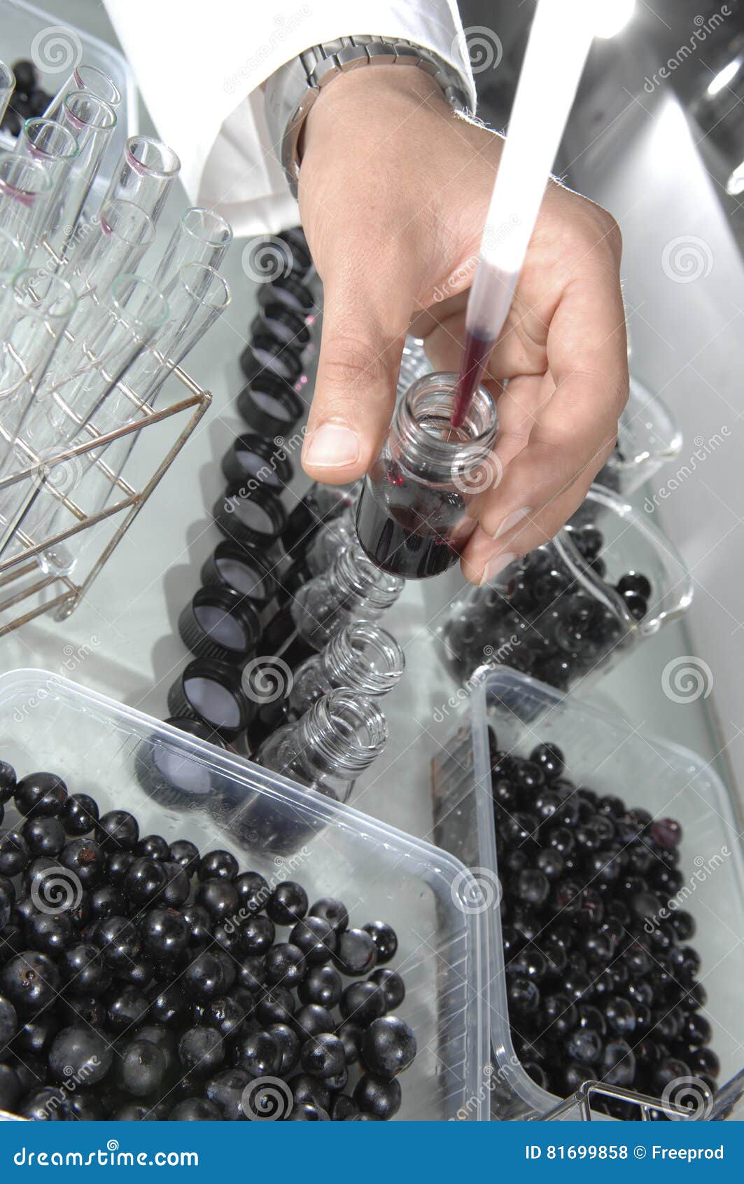Wine Quality Control Testing in Modern Laboratory Stock Photo Image