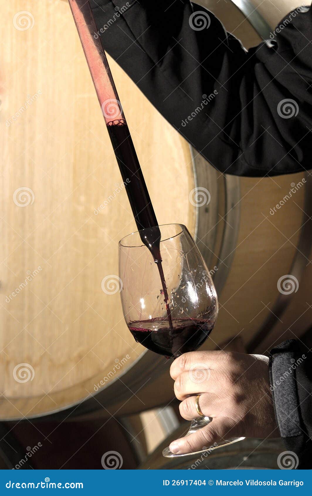 Wine Taster stock photo. Image of test, ripening, ripe 26917404