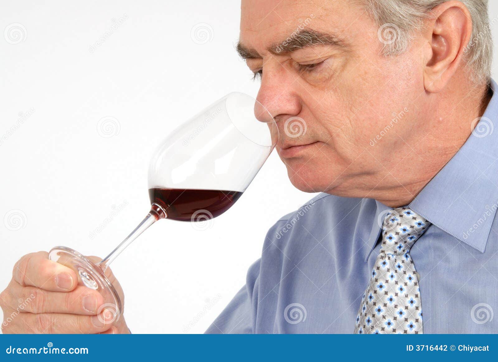 Wine Taster stock photo. Image of industry, profile, wine 3716442