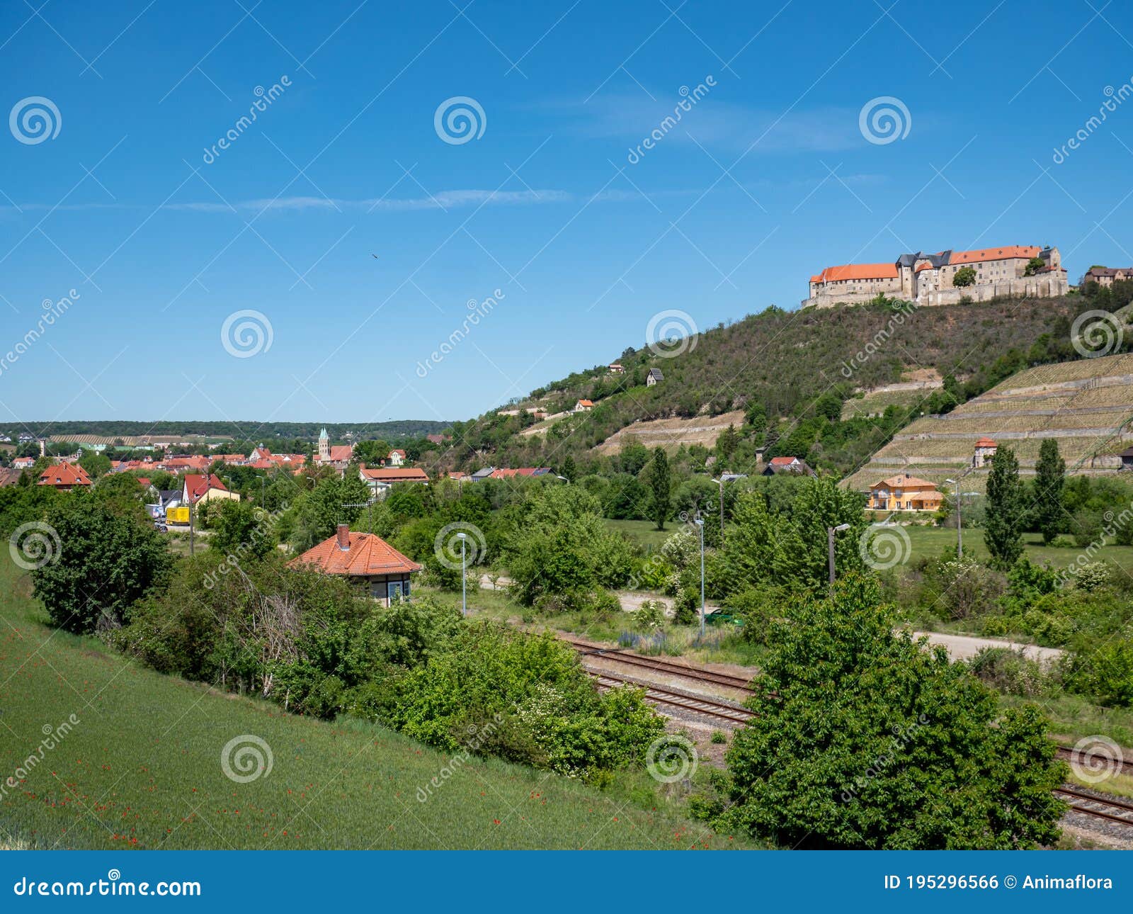 wine town freyburg an der unstrut in saxony-anhalt