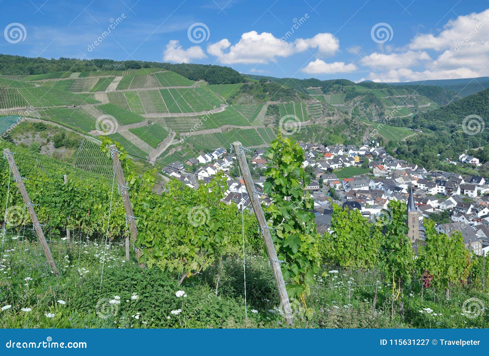 Mayschoss,Ahr Valley,Rhineland-Palatinate,Germany Stock 
