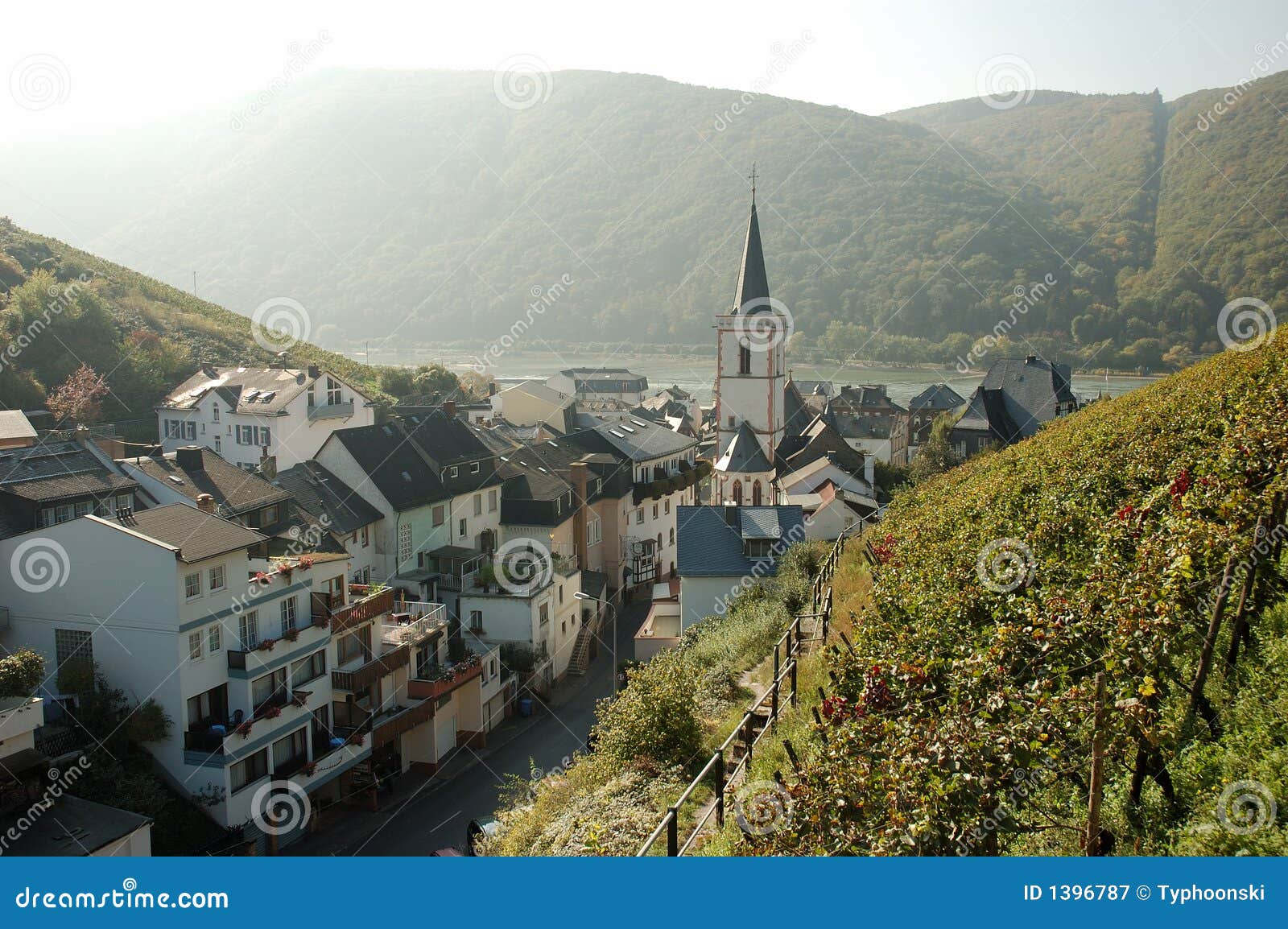 Winevillage with a Vineyard Stock Image Image of scenic, germany