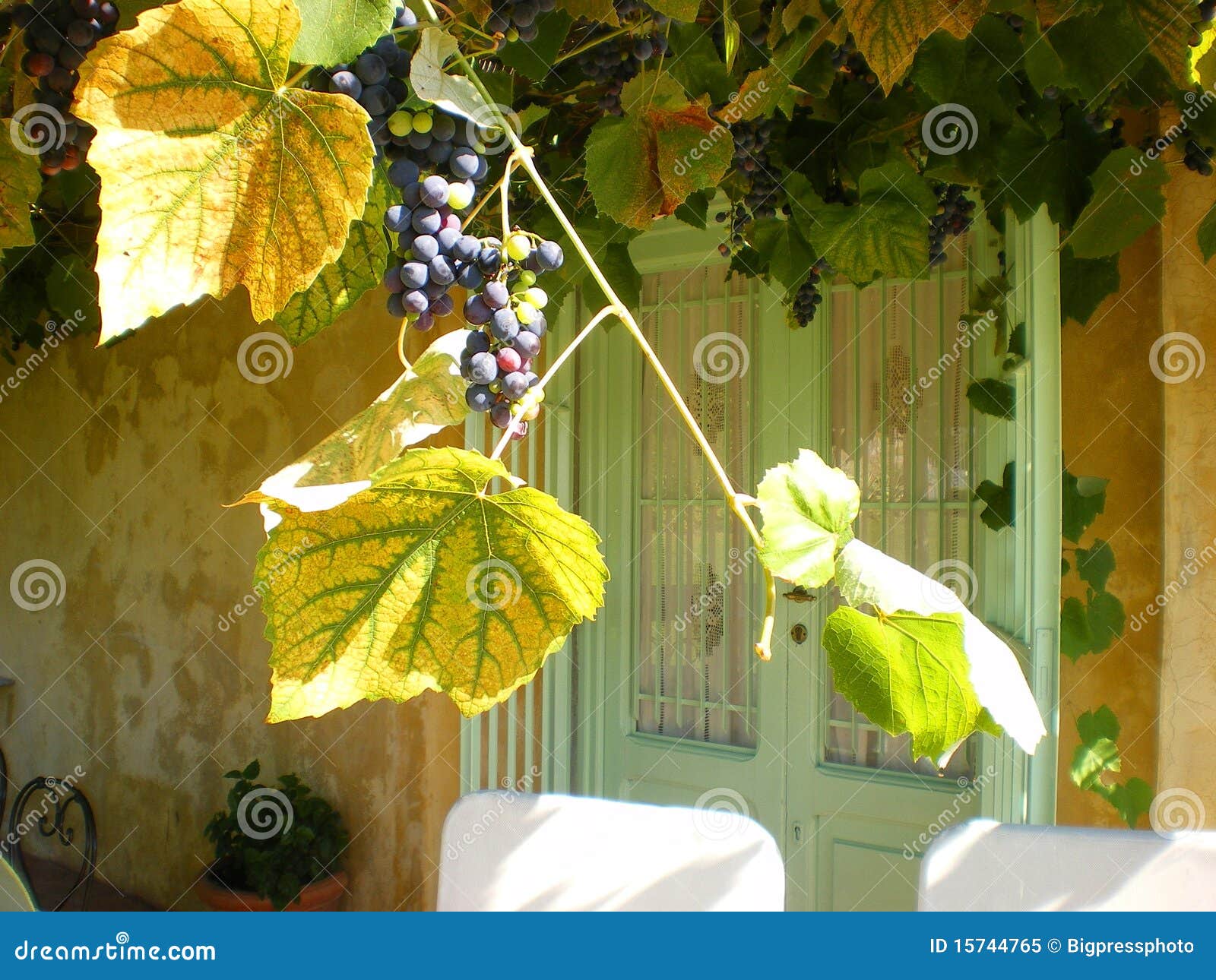 winefarm wedding venue tuscany italy