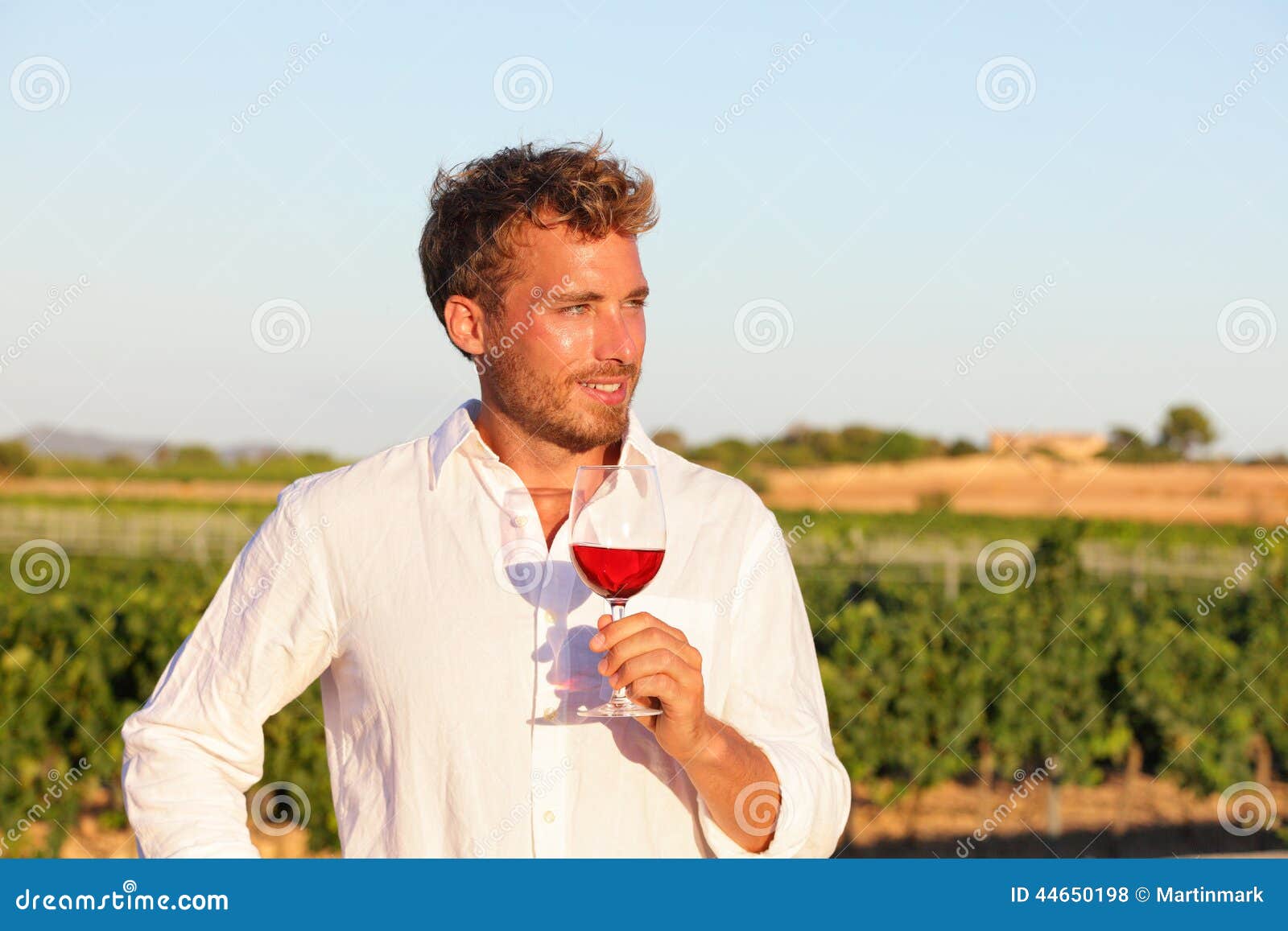 Winemaker Man Drinking Rose or Red Wine, Vineyard Stock Photo Image