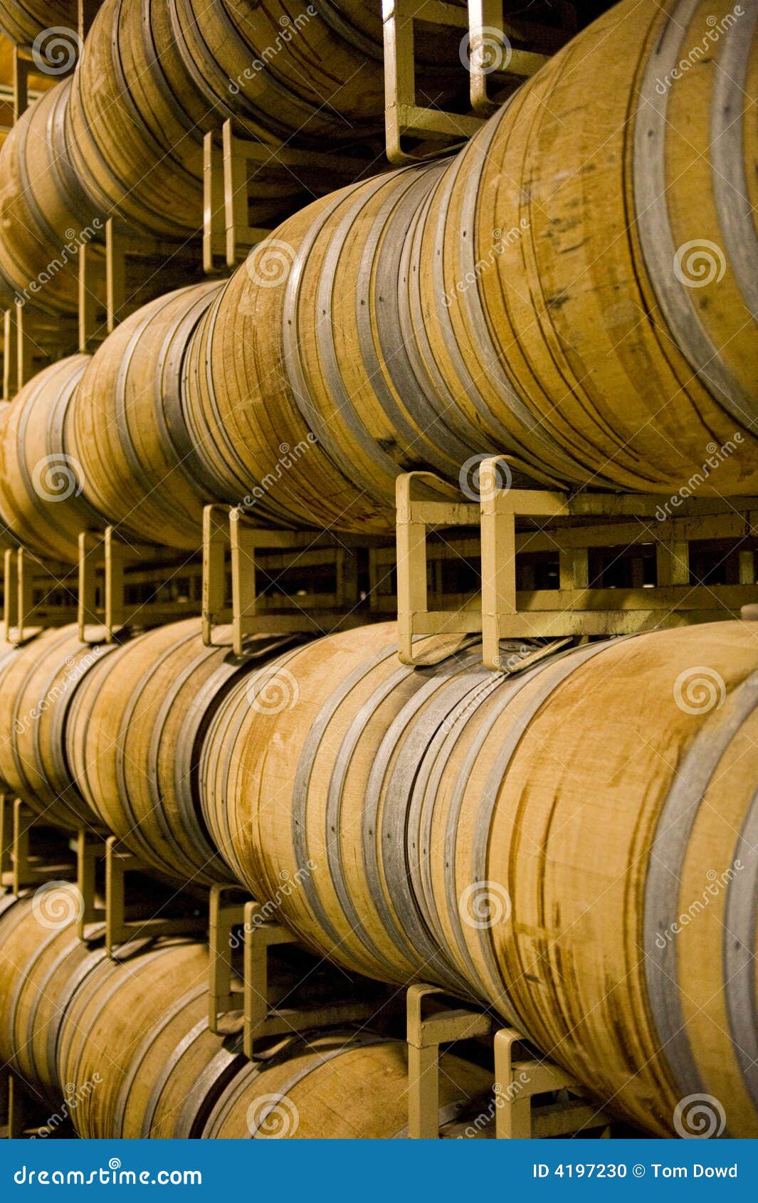 Winery barrels stock photo. Image of barrels, winery, shelf 4197230