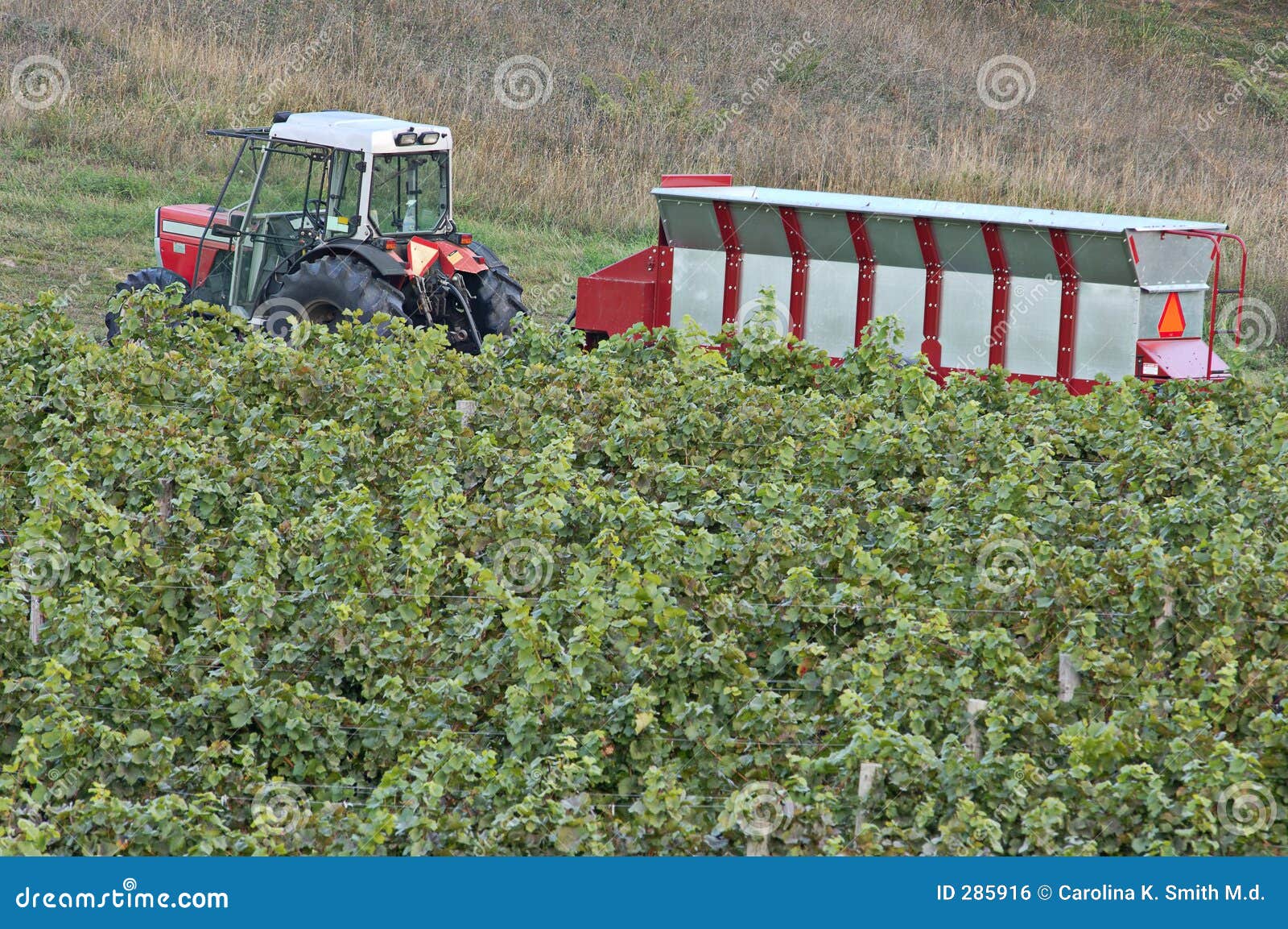 WineryTractorHopperVineyard Stock Photo Image of industry