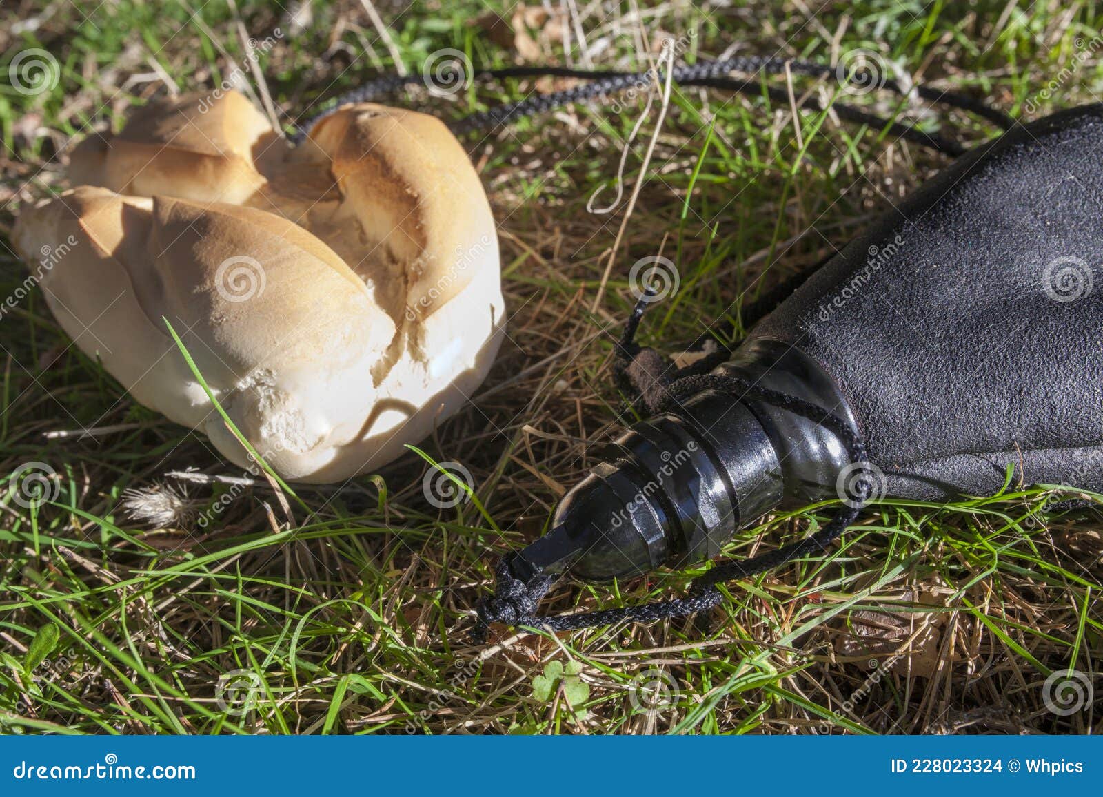 wineskin or bota bag and bread over green grass