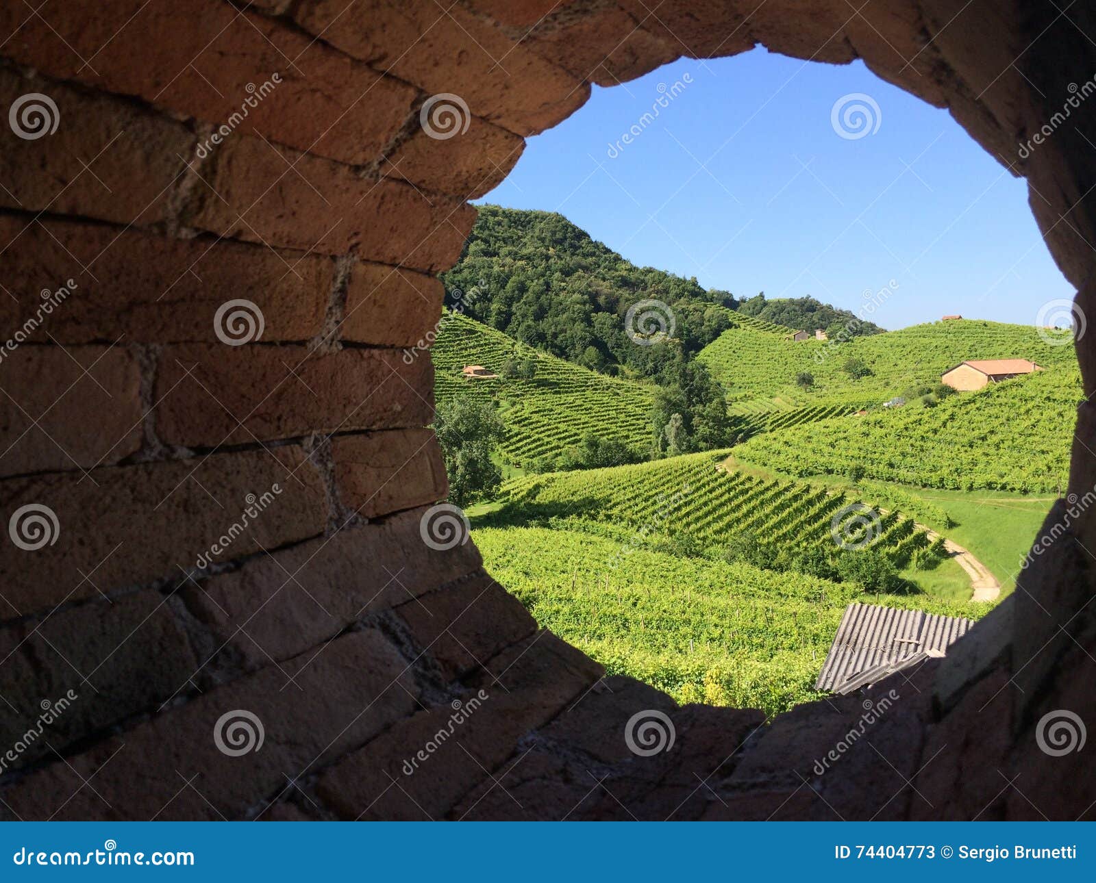 Wineyards em Prosecco. Wineyards em Valdobbiadene (Treviso, Itália) através das janelas velhas de um roundshape