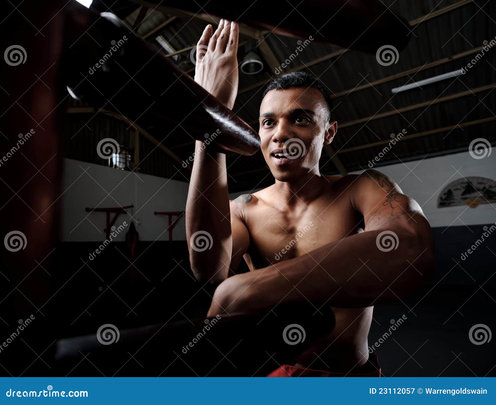 valse ufravigelige matchmaker Wing Chun Kung Fu stock image. Image of fight, equipment - 23112057