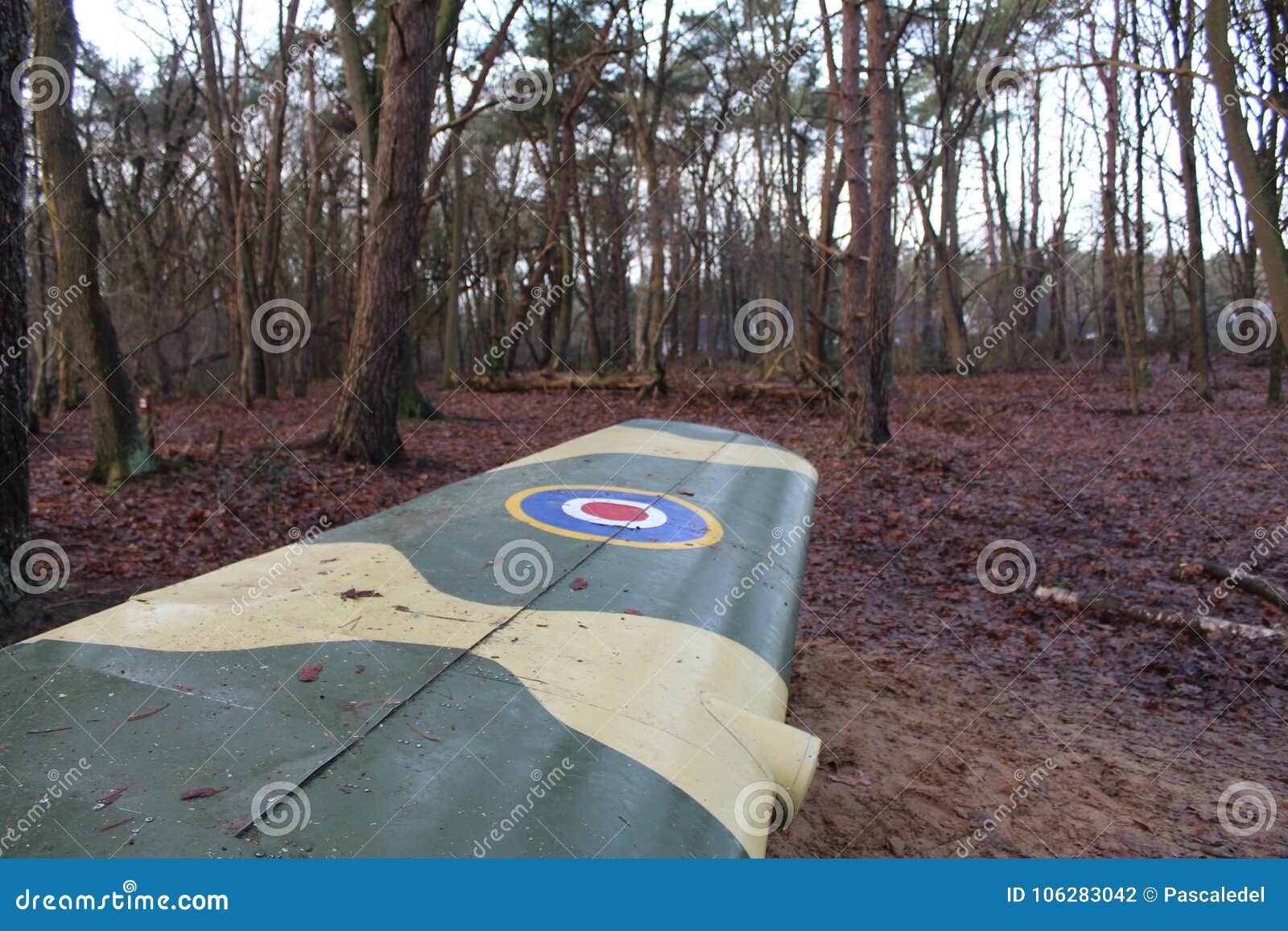 The Wing Of A Plane In A Forest Stock Photo - Image of amazing, wing