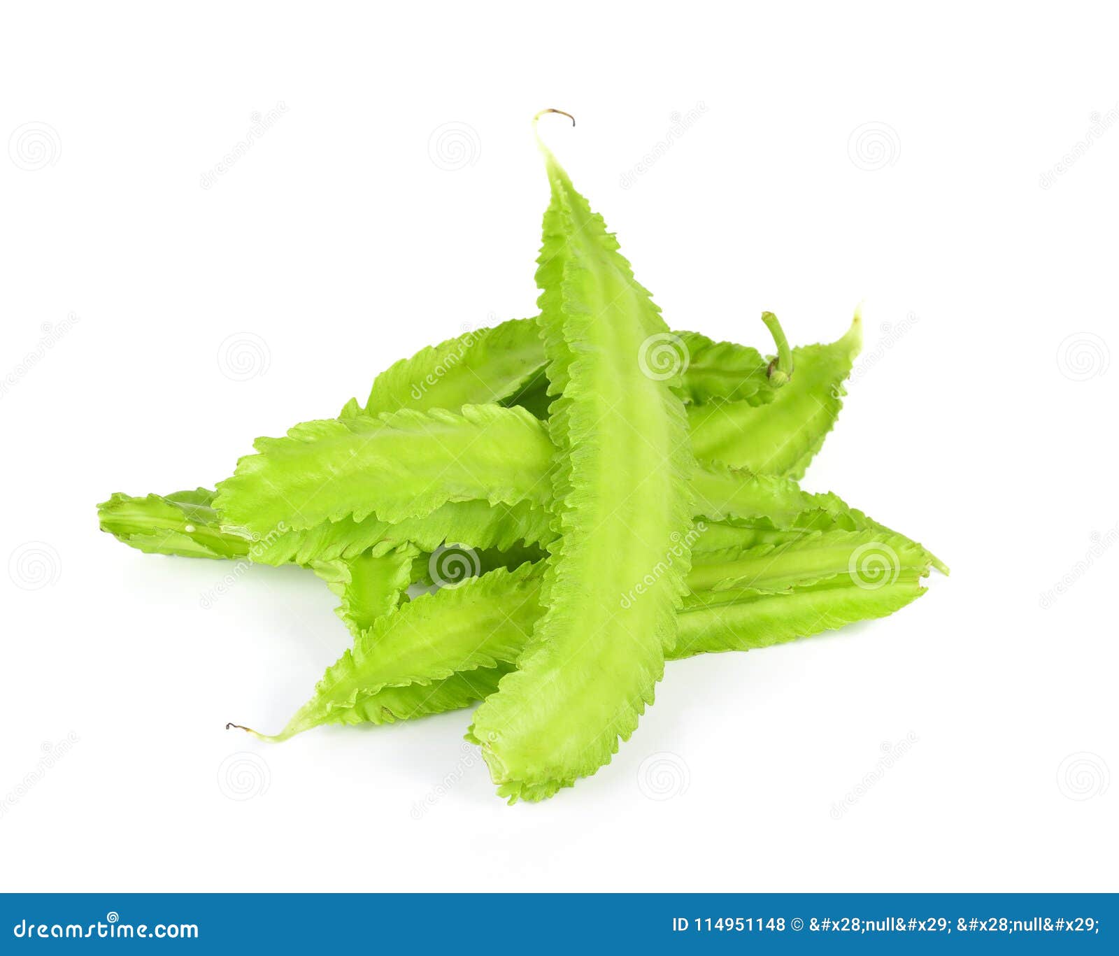 winged bean on white background.