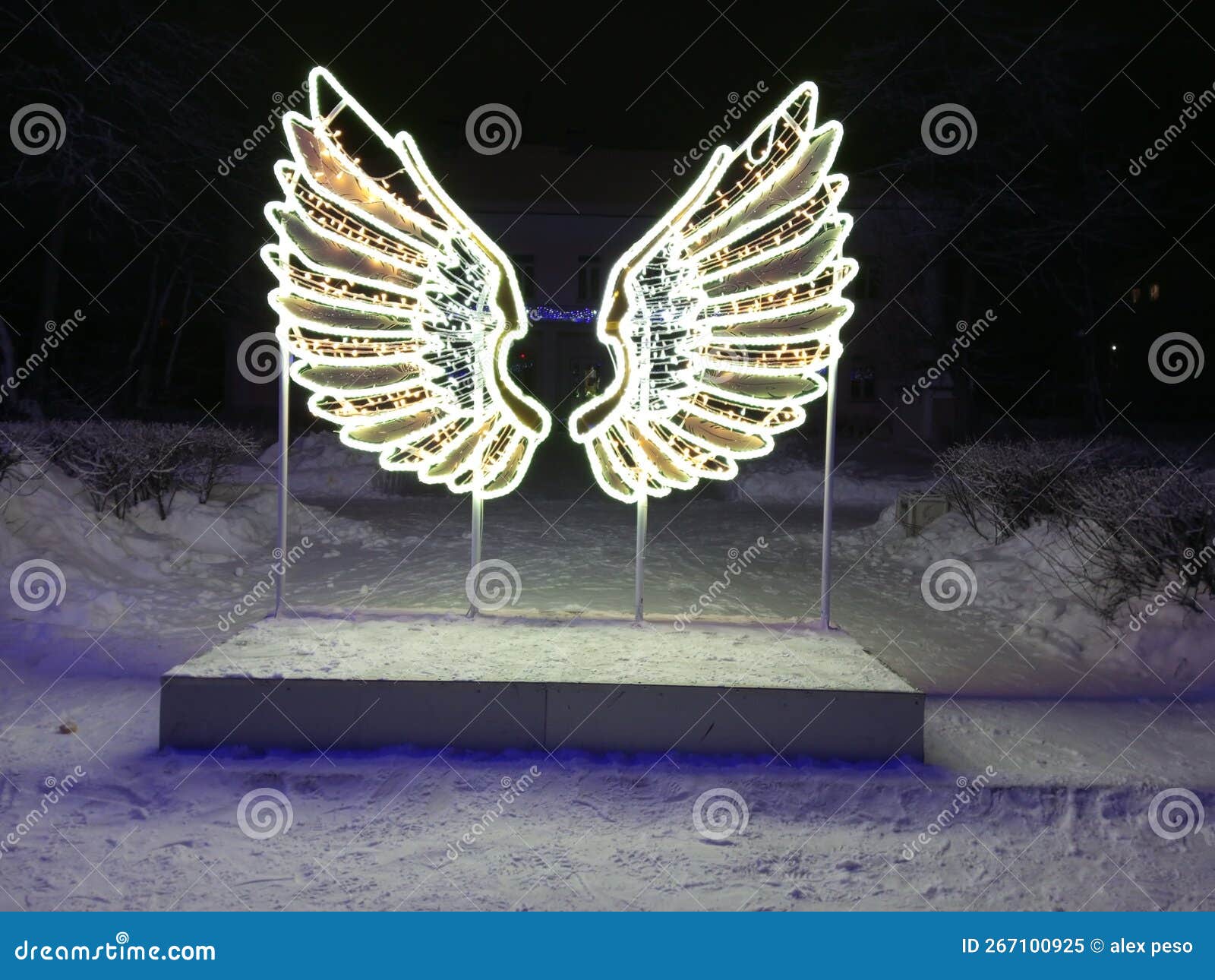 wings angel alas winter invierno nieve snow