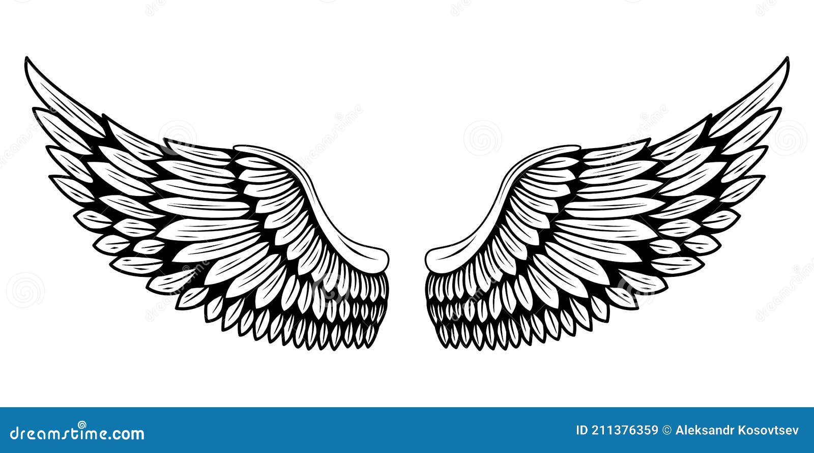 Wings_1 stock vector. Illustration of cartoon, drawing - 211376359