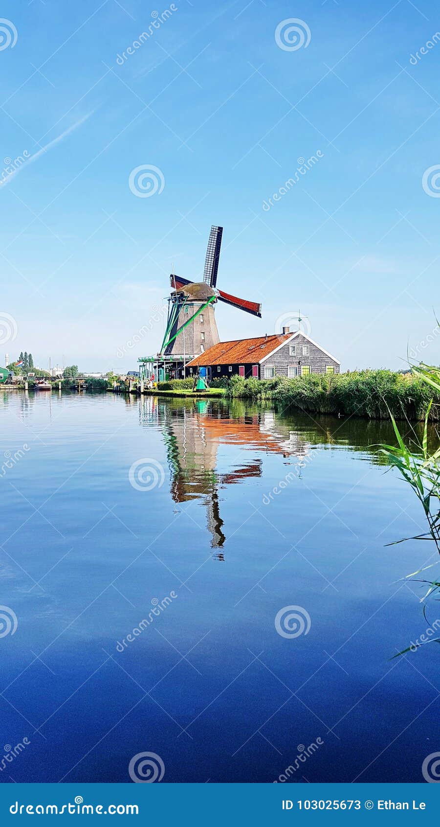 Winmills da un lago in Zaanse Schans, Paesi Bassi. ZAANSE SCHANS - AGOSTO 2017: Mulini a vento il 28 agosto 2017 in Zaanse Schans Mulini a vento storici ben conservato in prossimità di Zaandam, vicino a Zaandijk, i Paesi Bassi