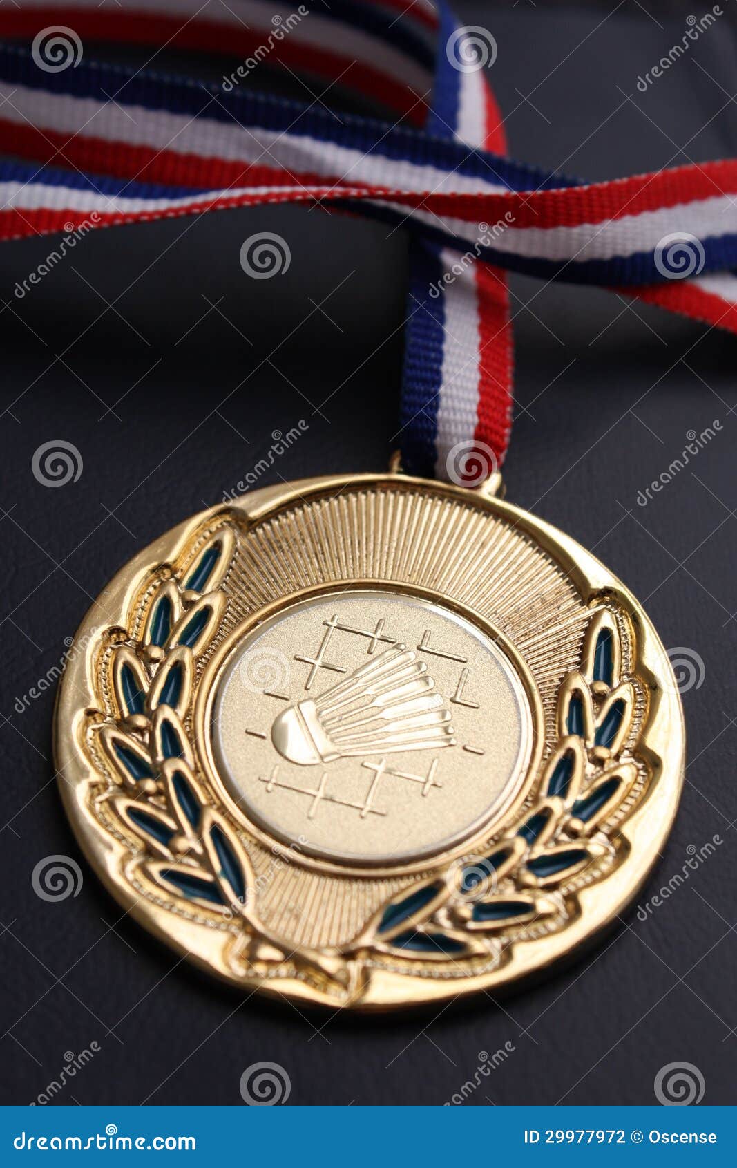 Badminton Gold Medal RoyaltyFree Stock Image 29977972