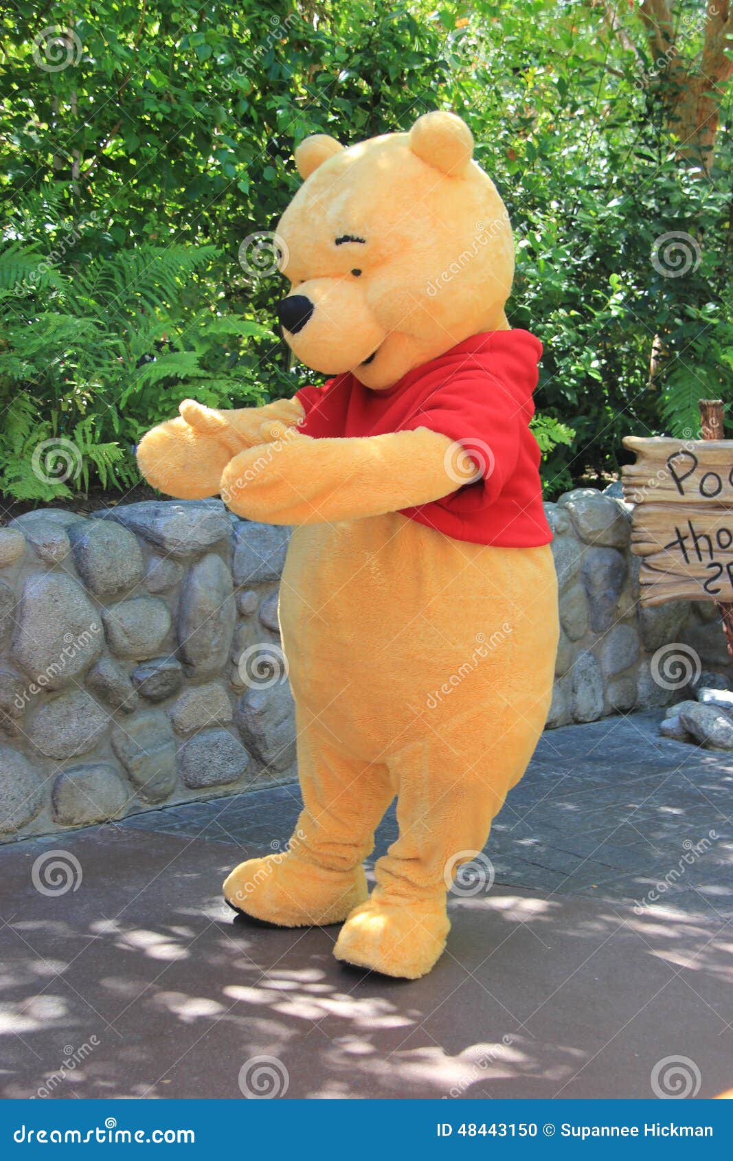 214 Winnie Pooh Bear Stock Photos - Free & Royalty-Free Stock ...