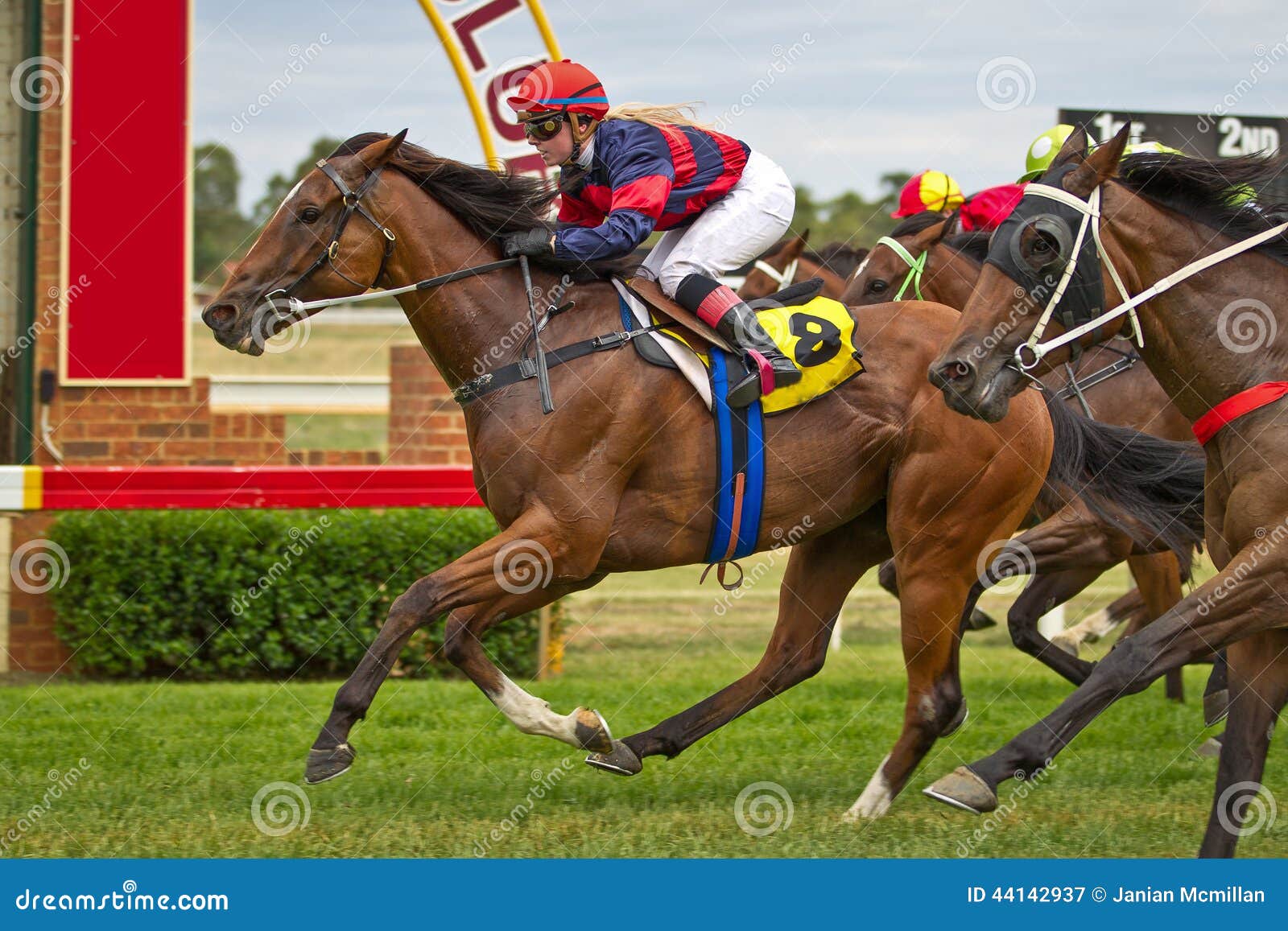 winning racehorse and female jockey at dubbo nsw australia