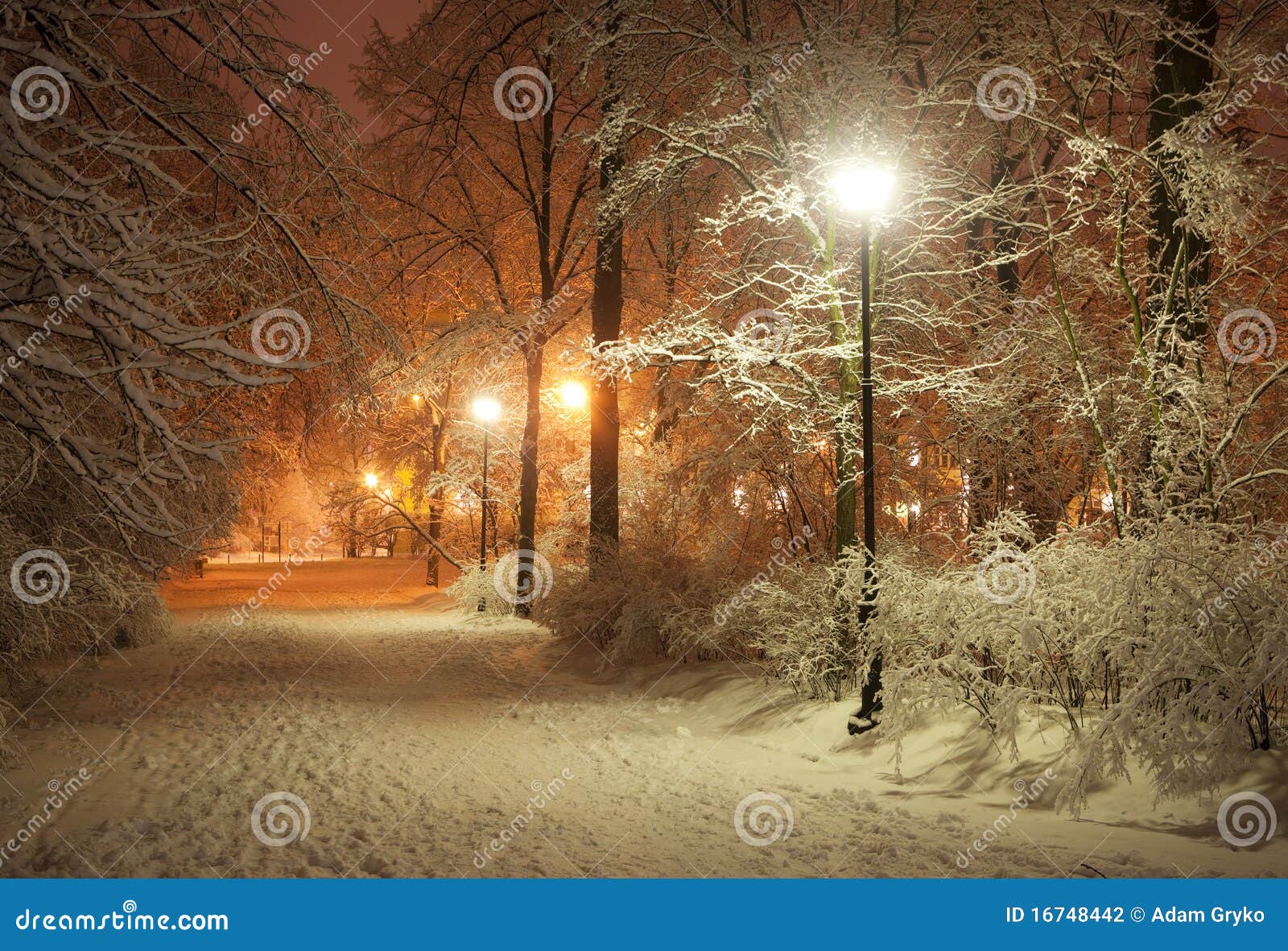 winter alley at night