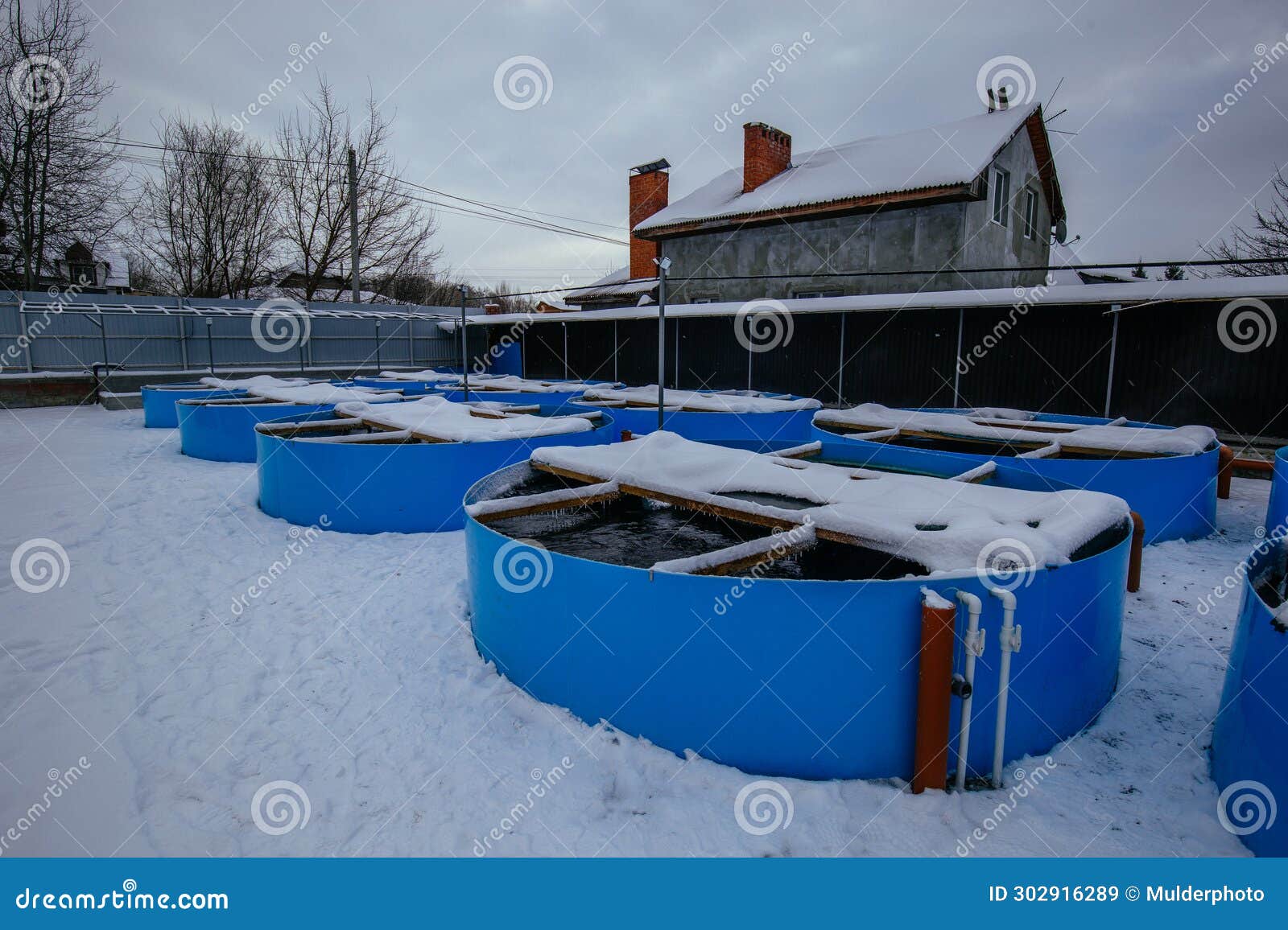 Winter Aquaculture Ponds with Heating Stock Image Image of agriculture, pool 302916289