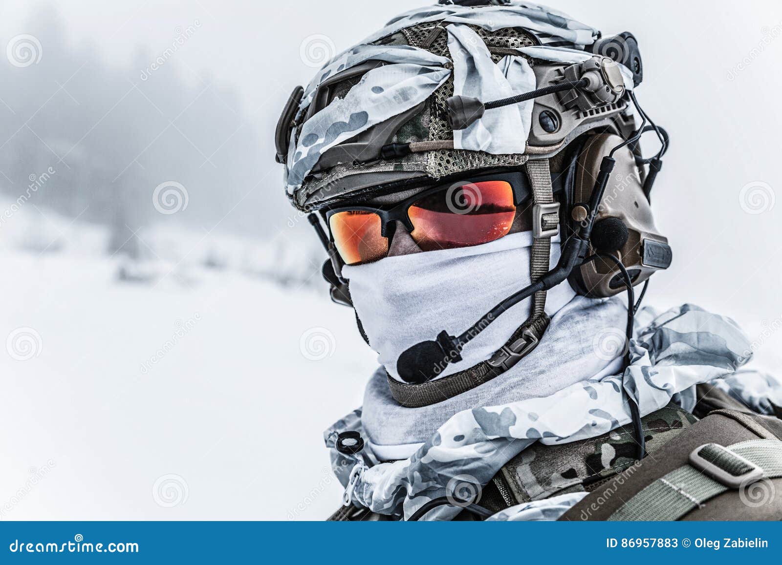 winter arctic warfare