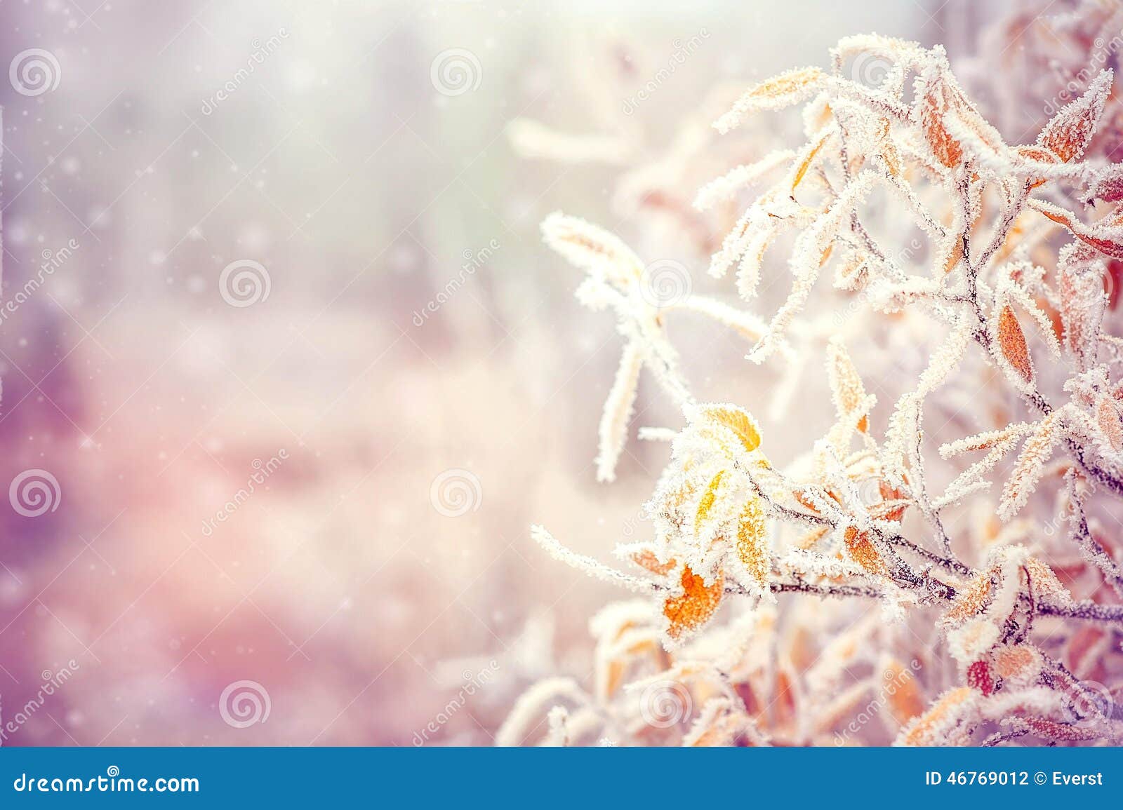 winter background with snow branches tree leaves