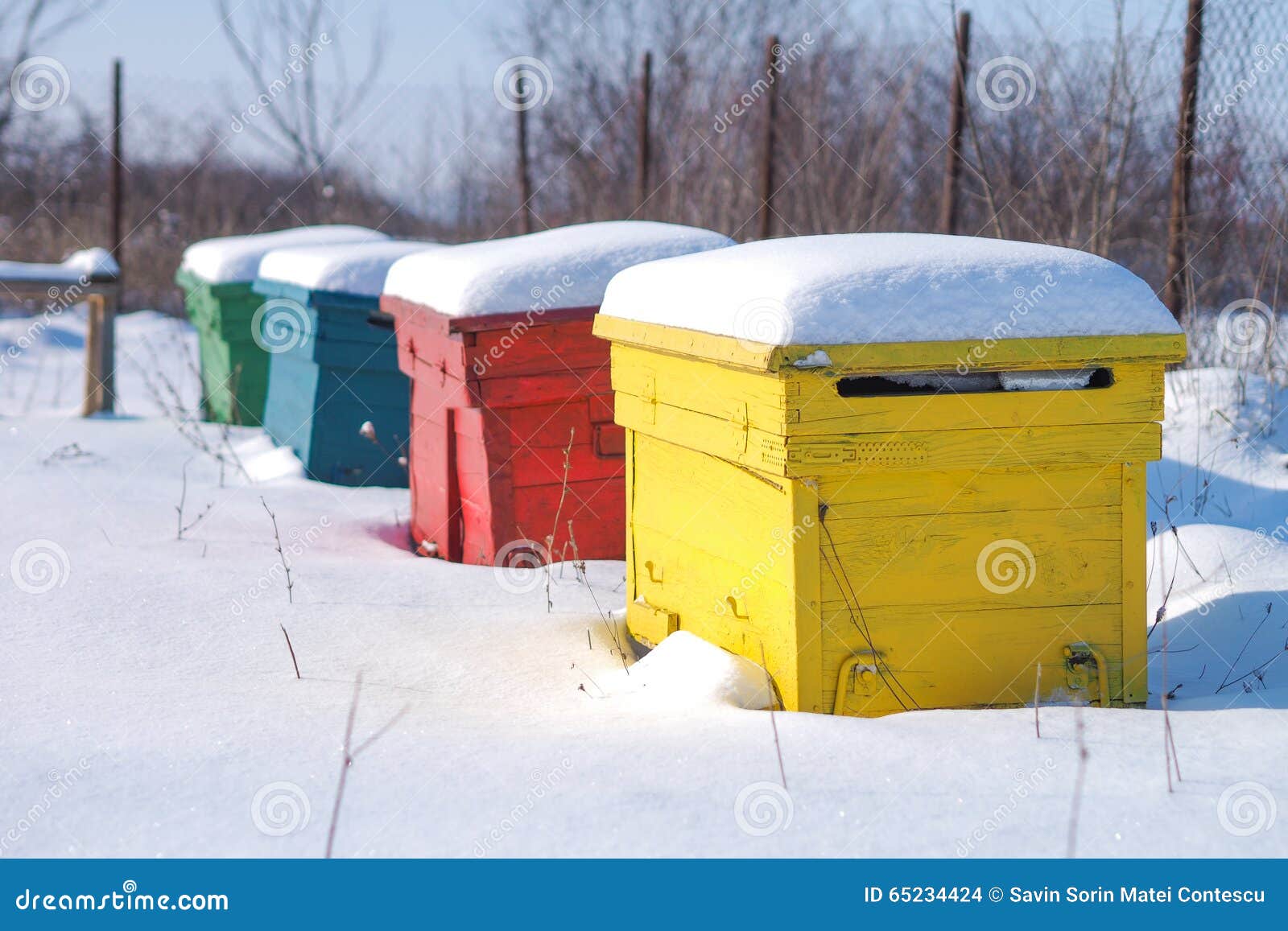 winter bee hives