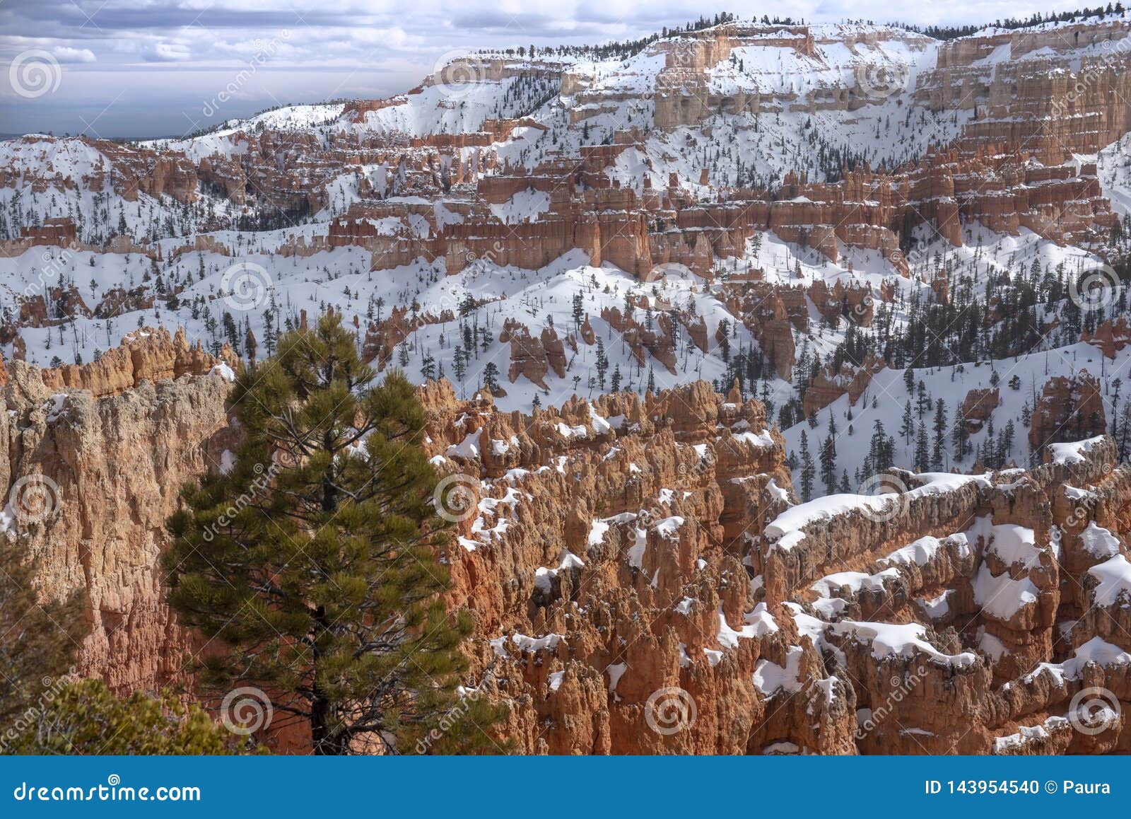 winter in bryce canyon national park