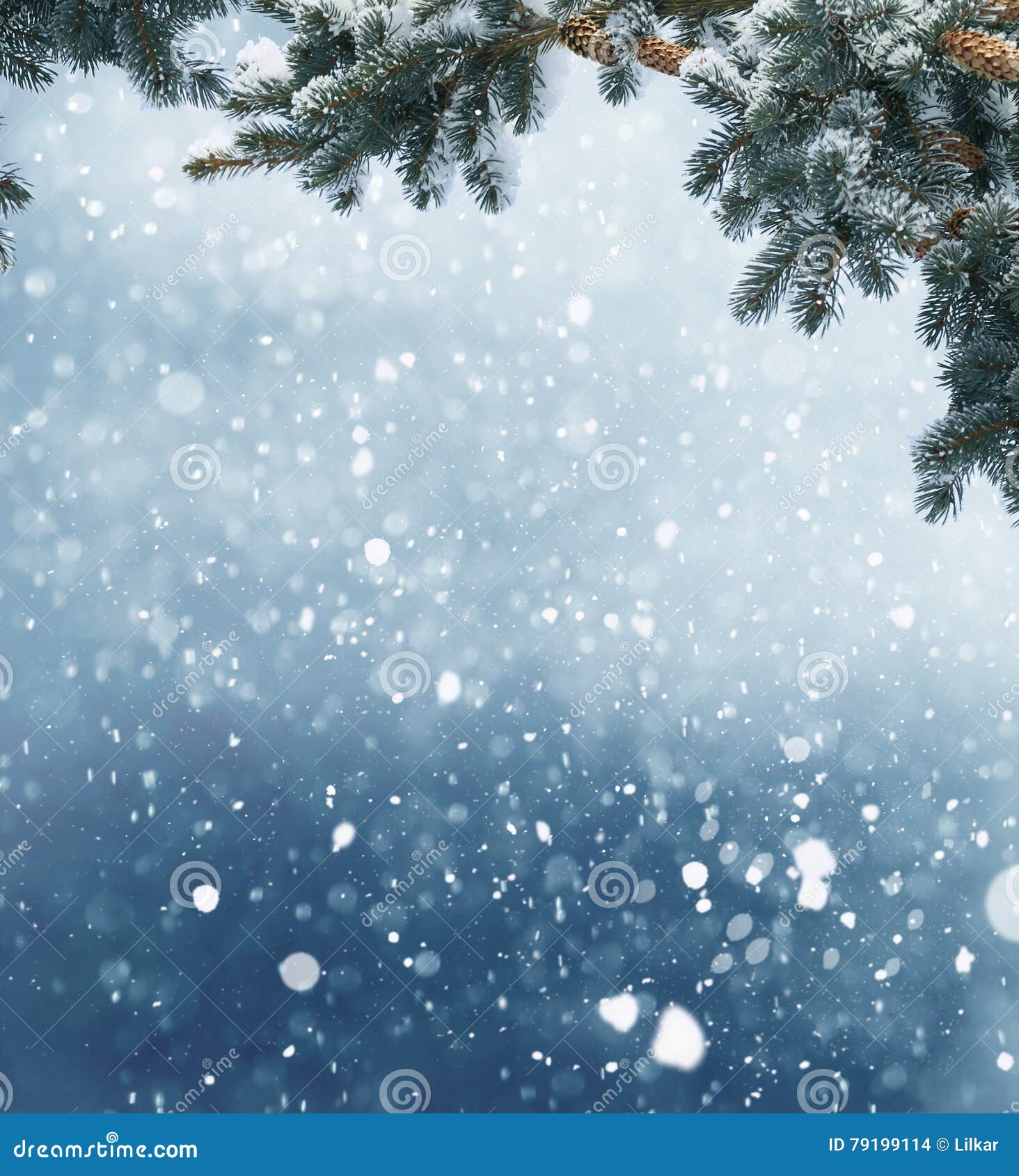 winter christmas background with fir tree branch and cones