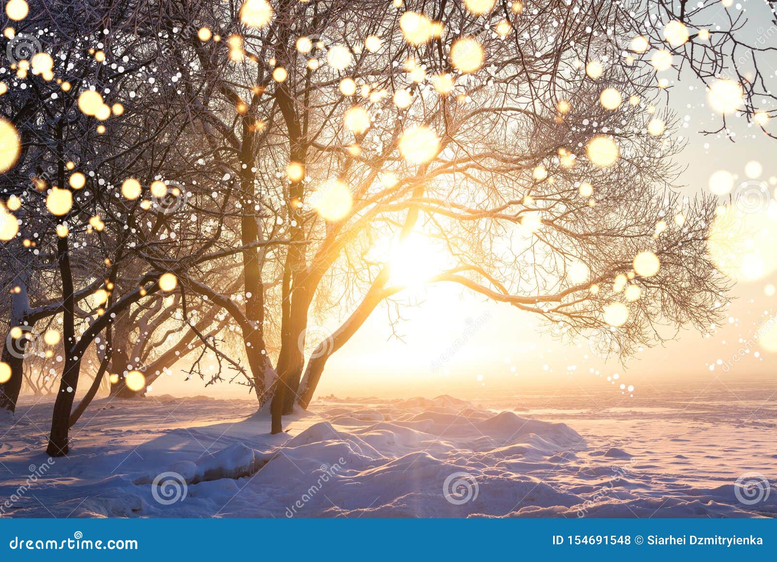 Pil pessimistisk Champagne Winter Christmas Background. Illuminated Snowflakes Bokeh. Winter Nature  Landscape with Bright Sun. Snowflakes in Sunlight. Winter Stock Photo -  Image of snow, snowy: 154691548