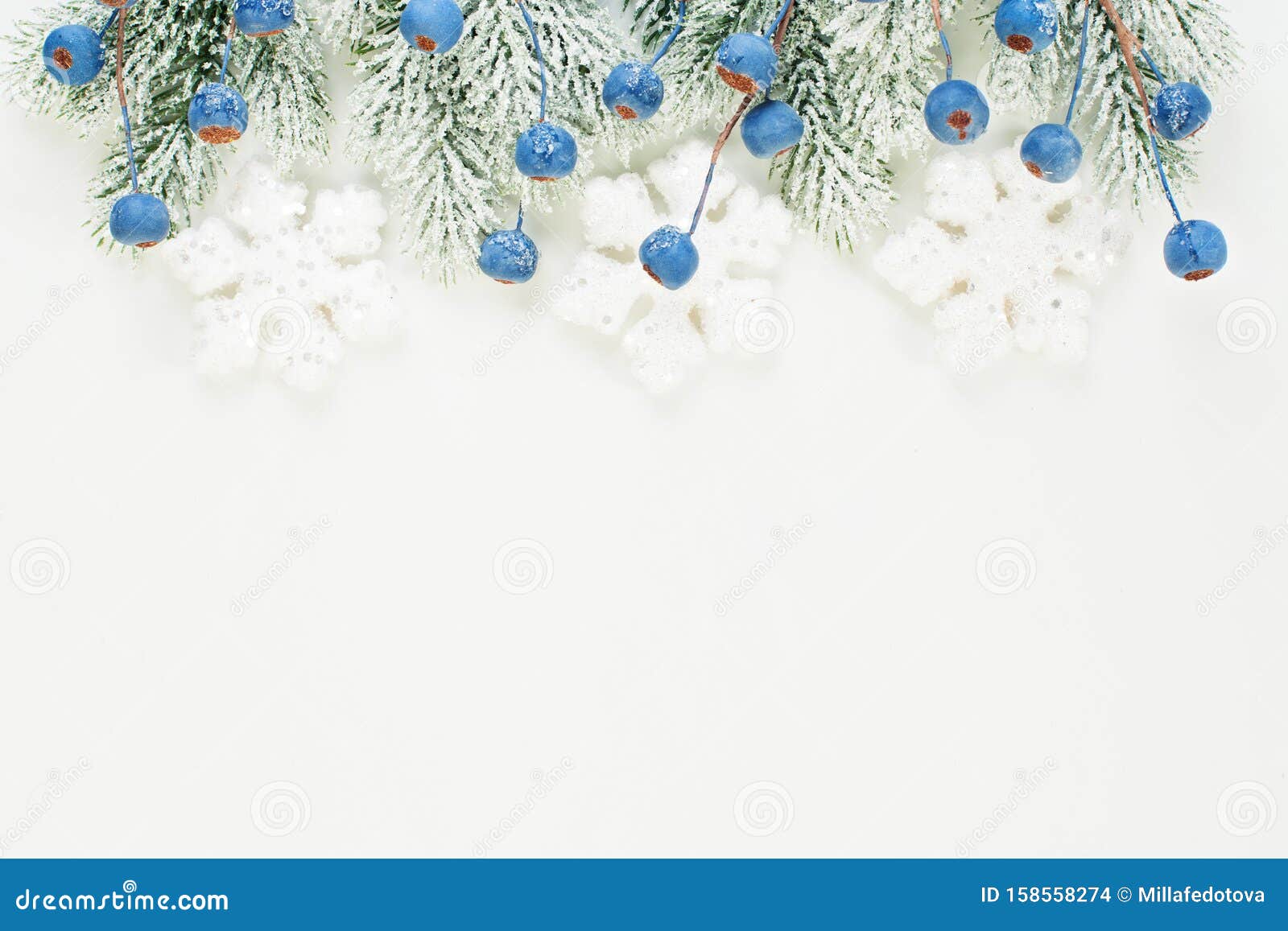 Winter Christmas Card Composition with Blue Berries, Xmas Tree Branch ...