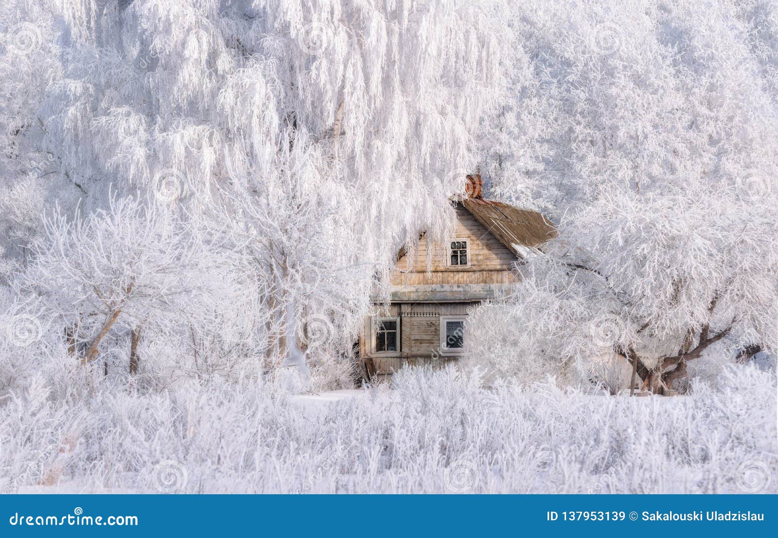 winter christmas landscape in pink tones with old fairy tale house, surrounded by trees in hoarfrost. rural landscape with scenic